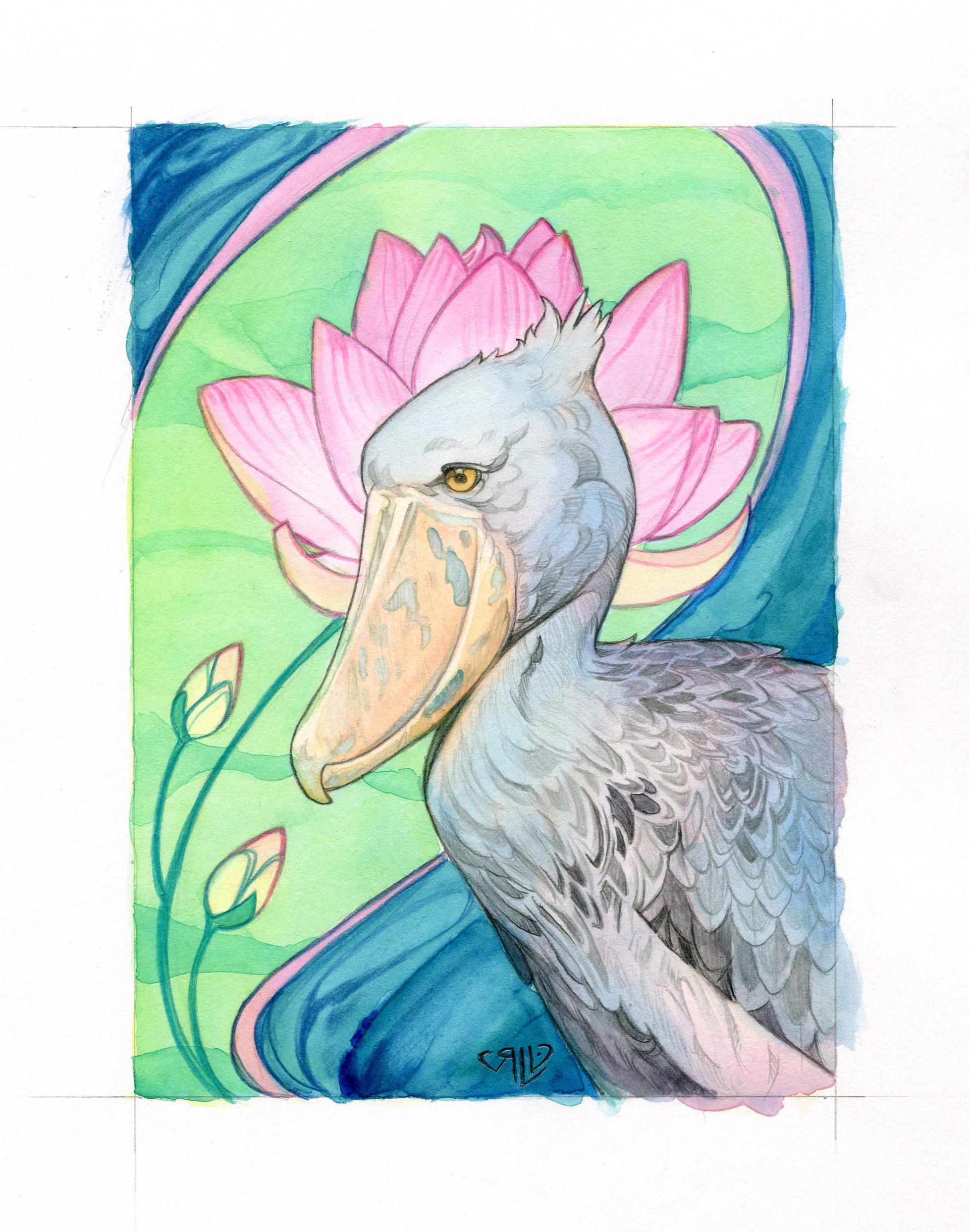 Shoebill Stork by Rhonda Libbey