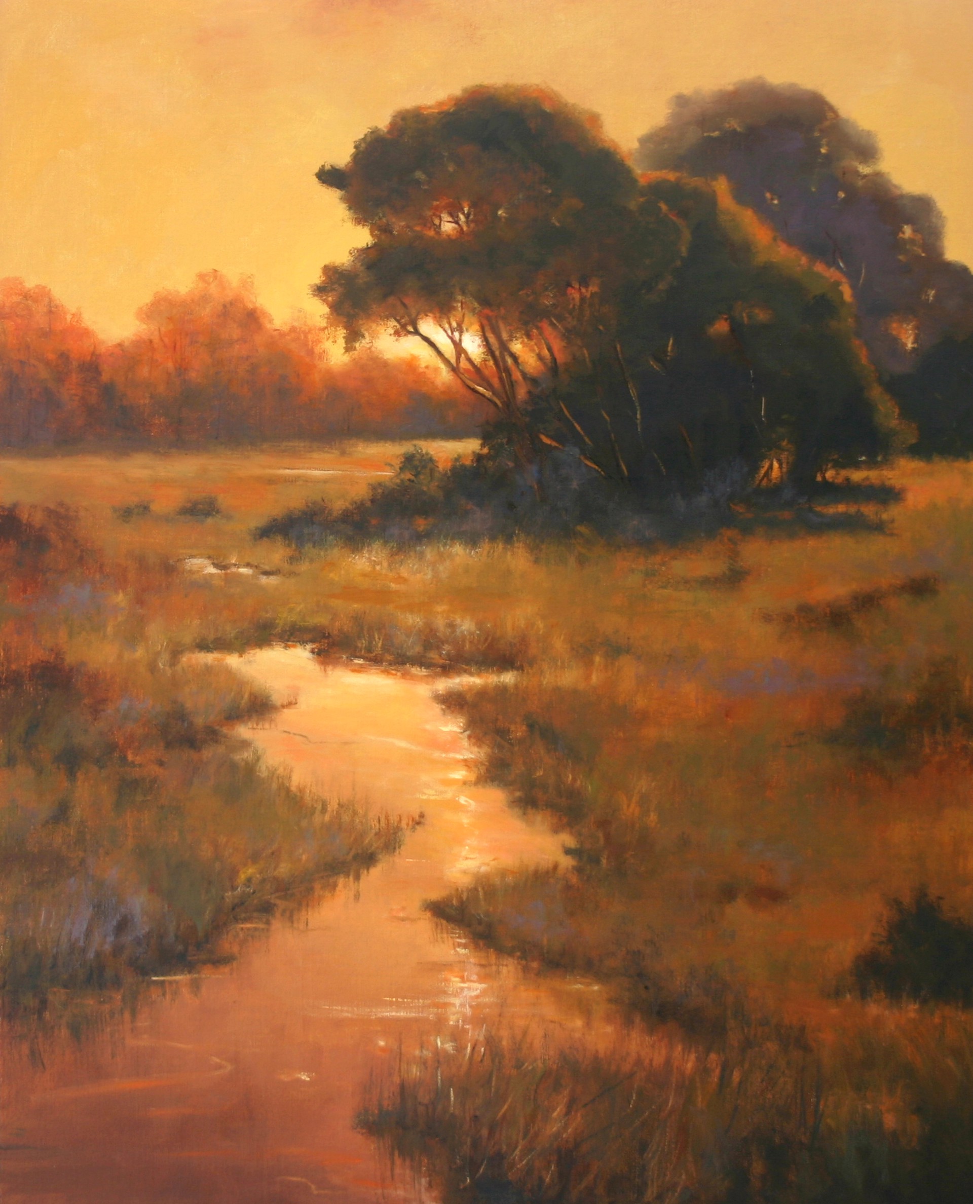 Creekside Oaks by Paula Holtzclaw, opa