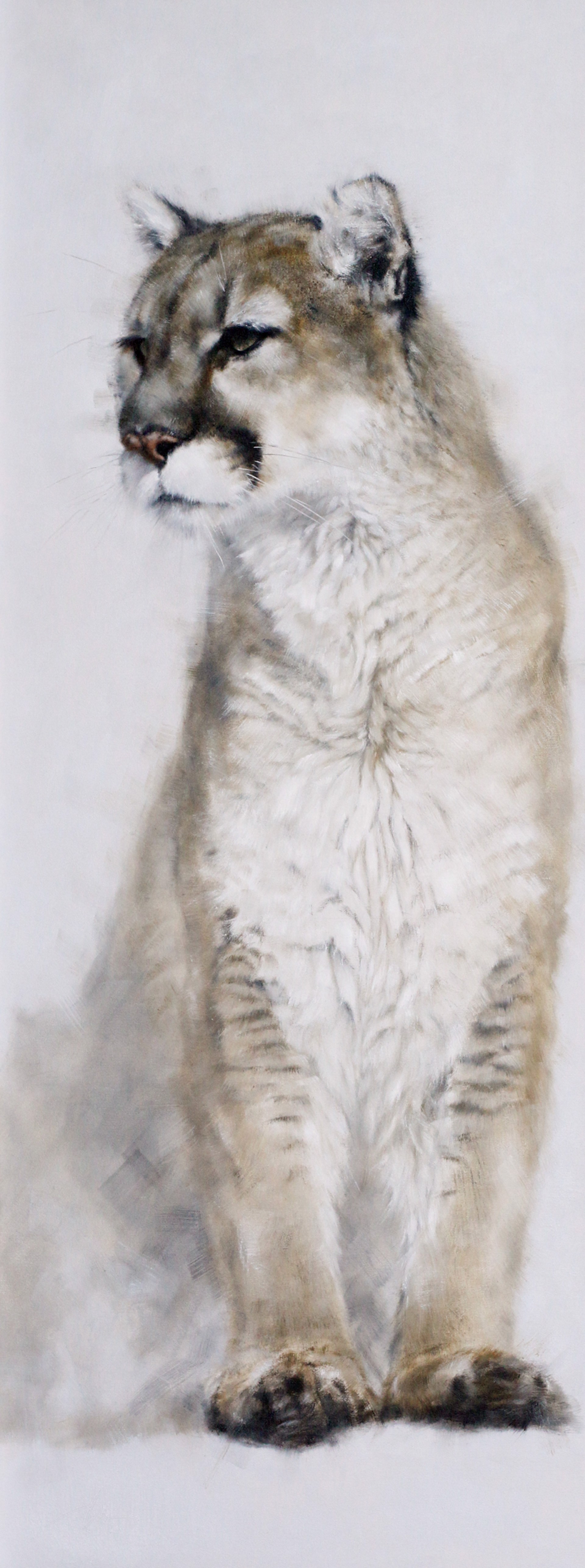Original Oil Painting Featuring A Seated Cougar With Snowy White Background
