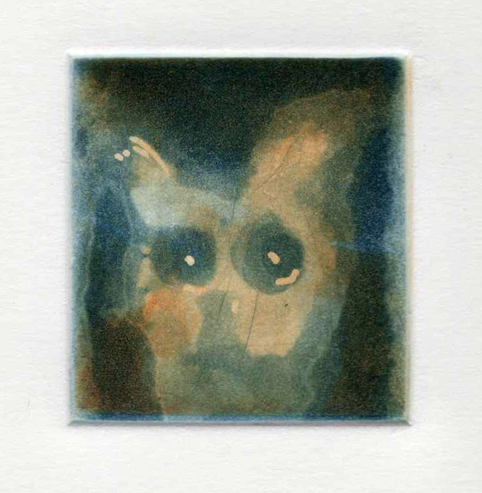 Ghost Owl by Erika Adams