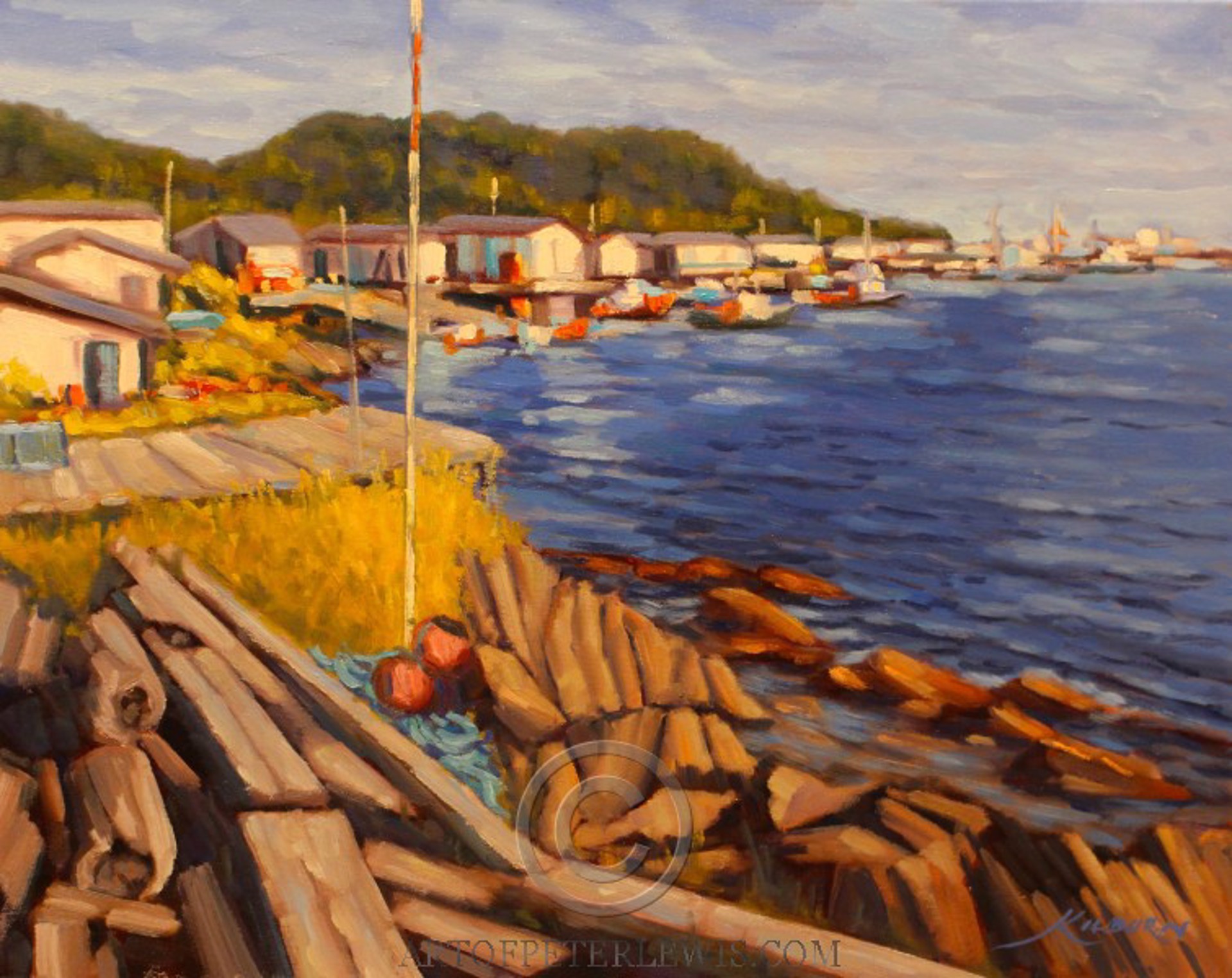 Lazy Afternoon in Chance Cove by Michael Kilburn
