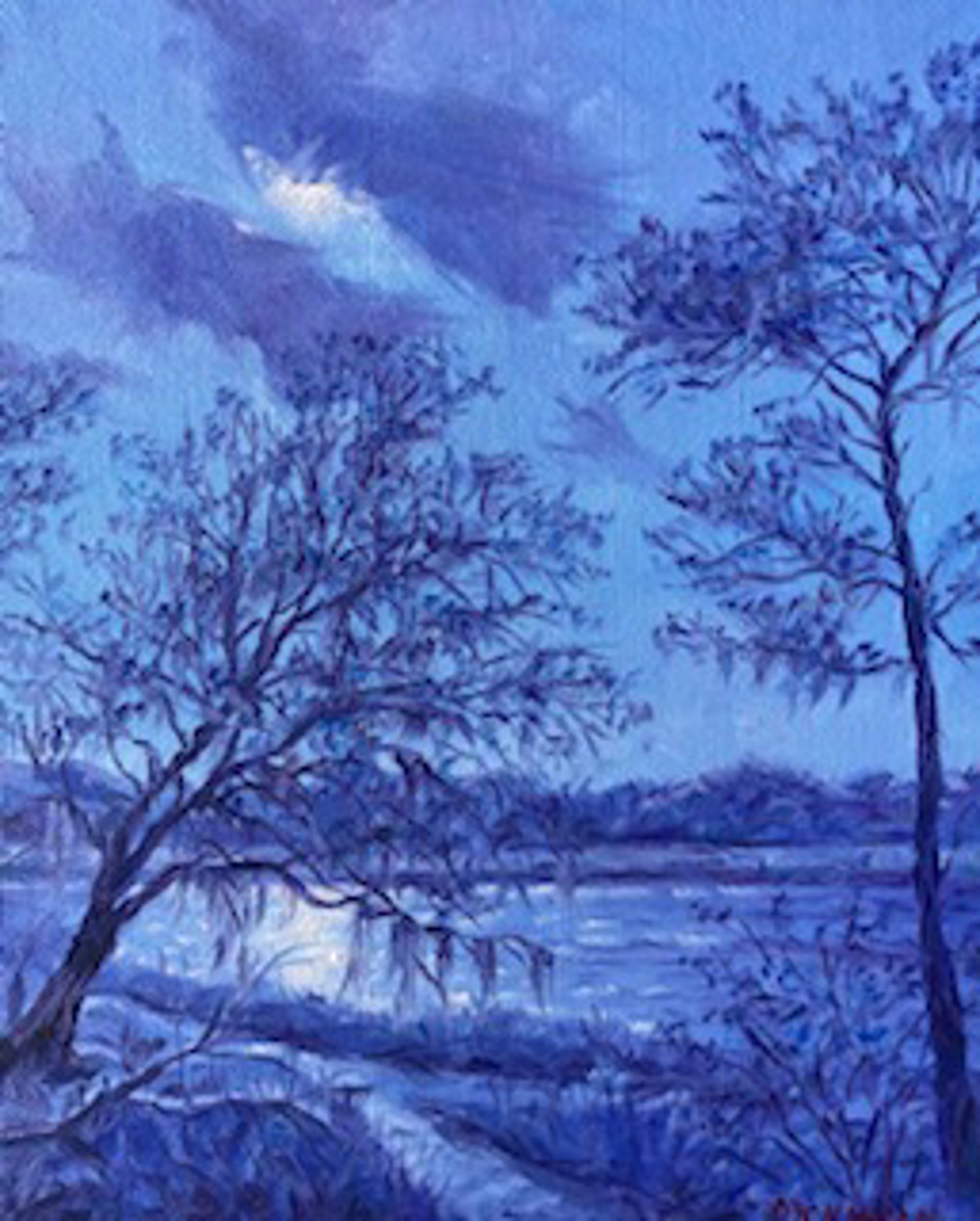 Moonlight on Prevatt Lake by Charles Dickinson