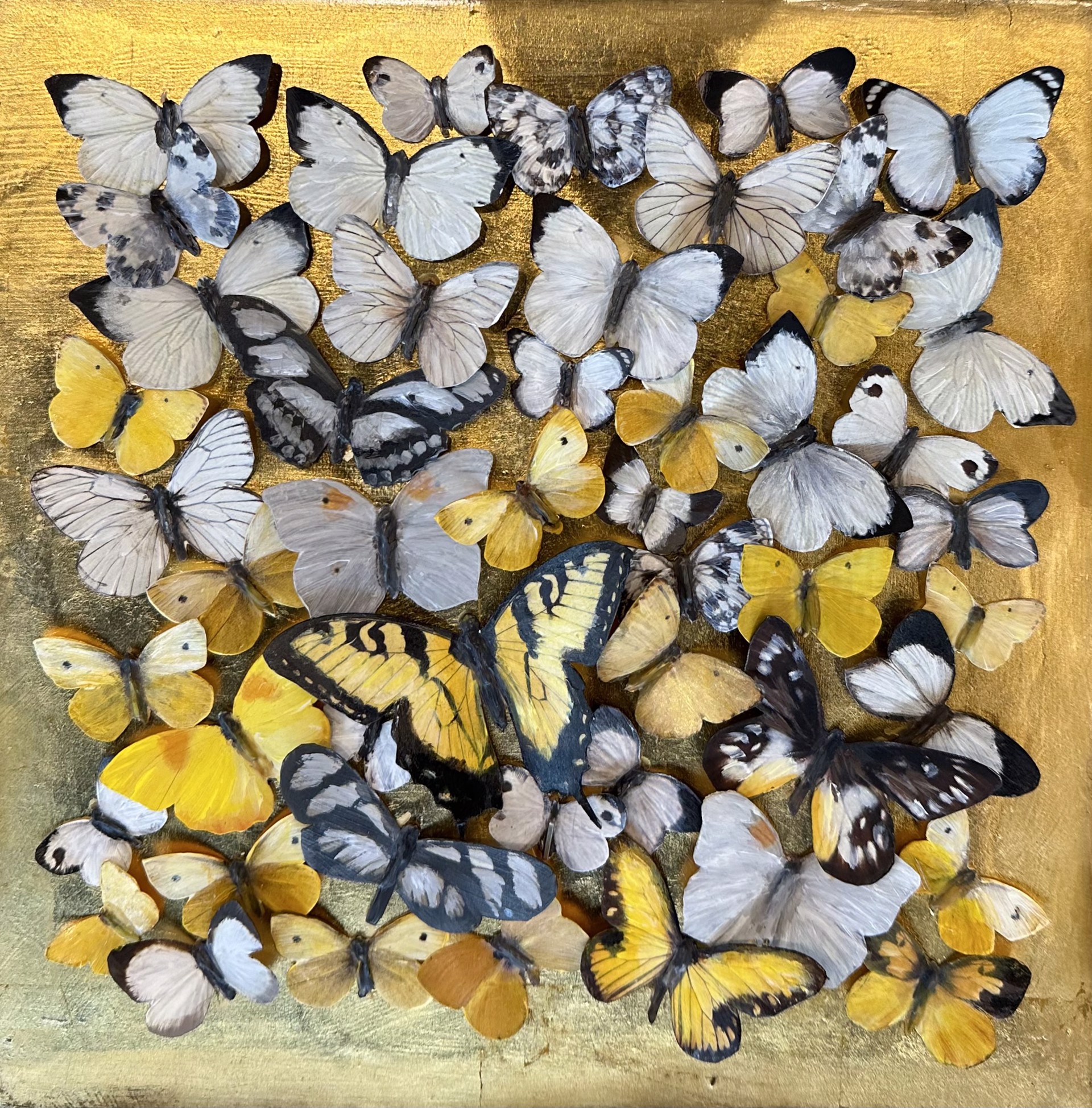 Morning Butterflies by Shelly Bartek