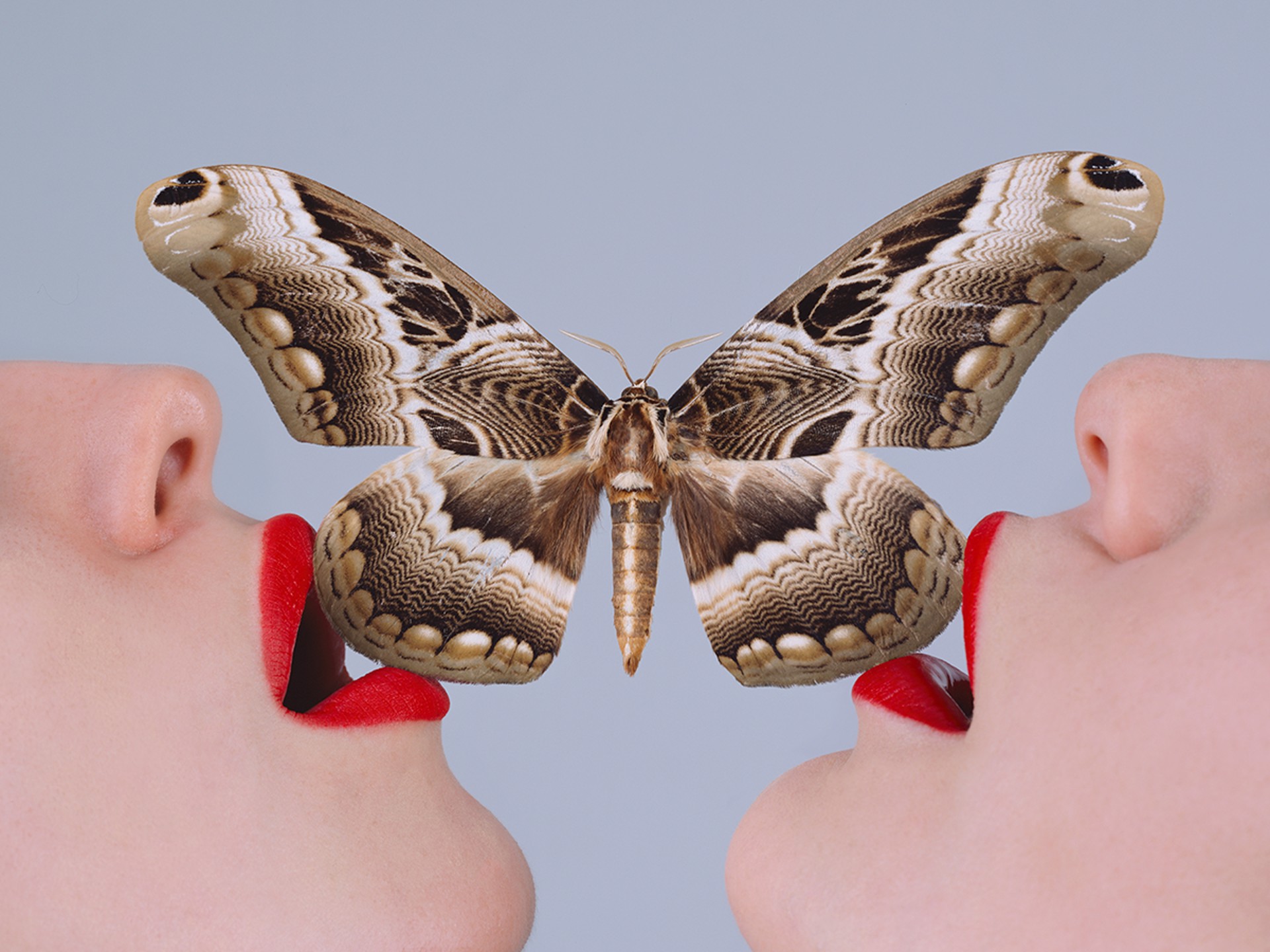 Butterfly by Tyler Shields