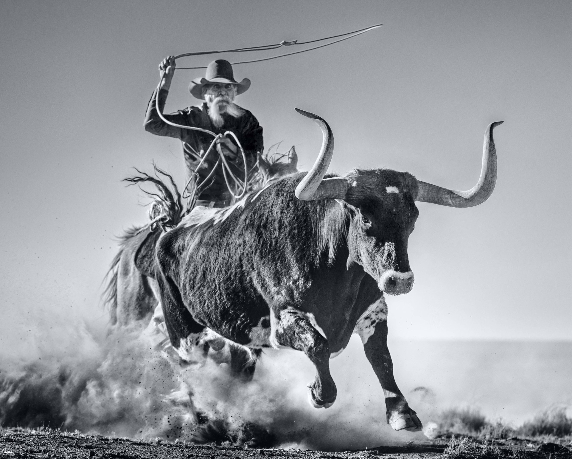 Ain't my First Rodeo by David Yarrow