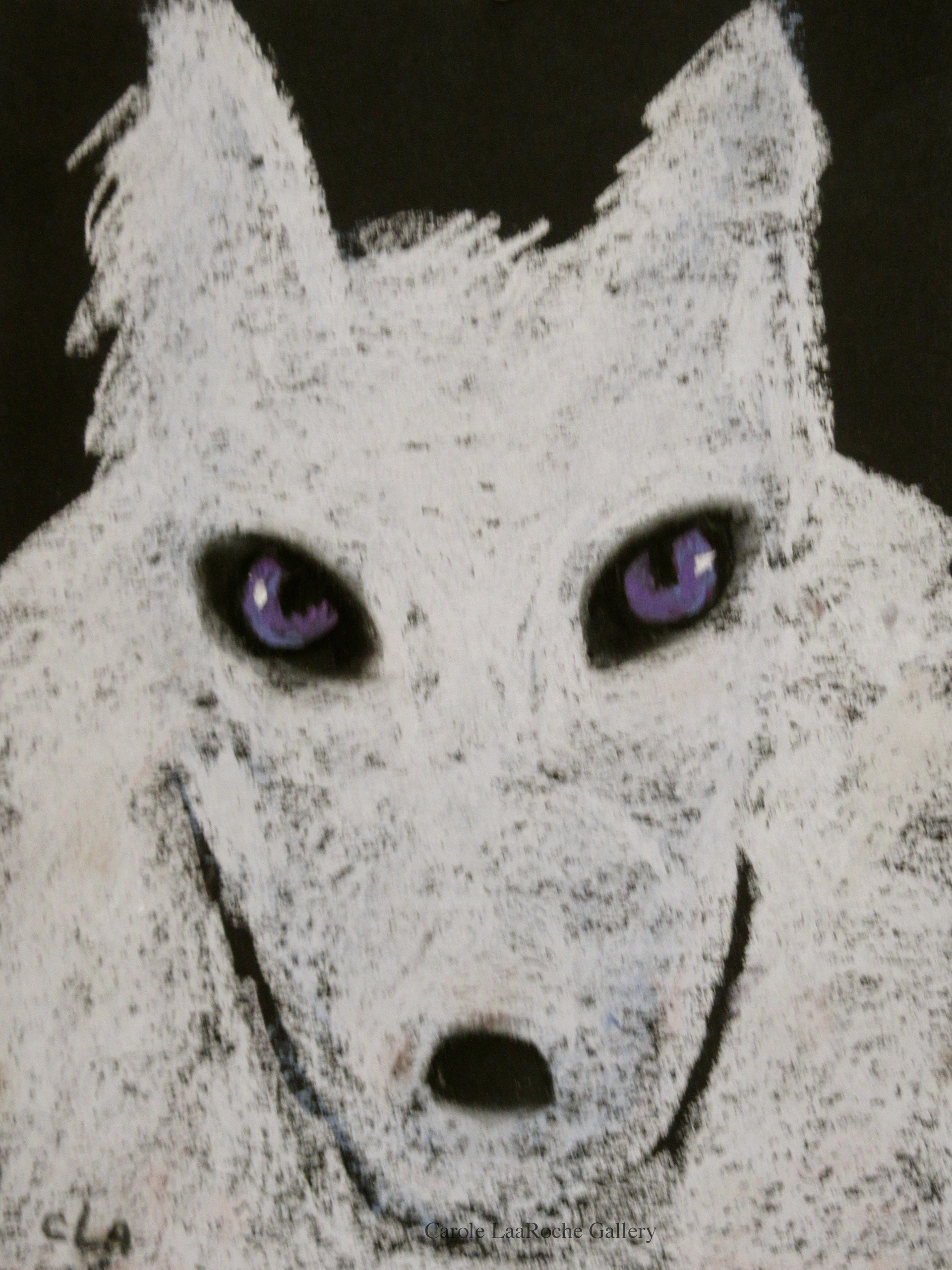 WHITE WOLF WITH PURPLE EYES by Carole LaRoche