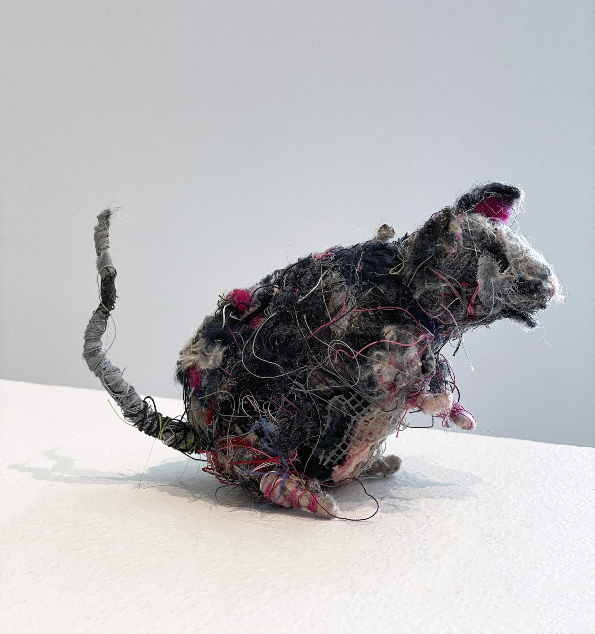 Mice Grouping #2 - Mouse 4 by Robb Putnam