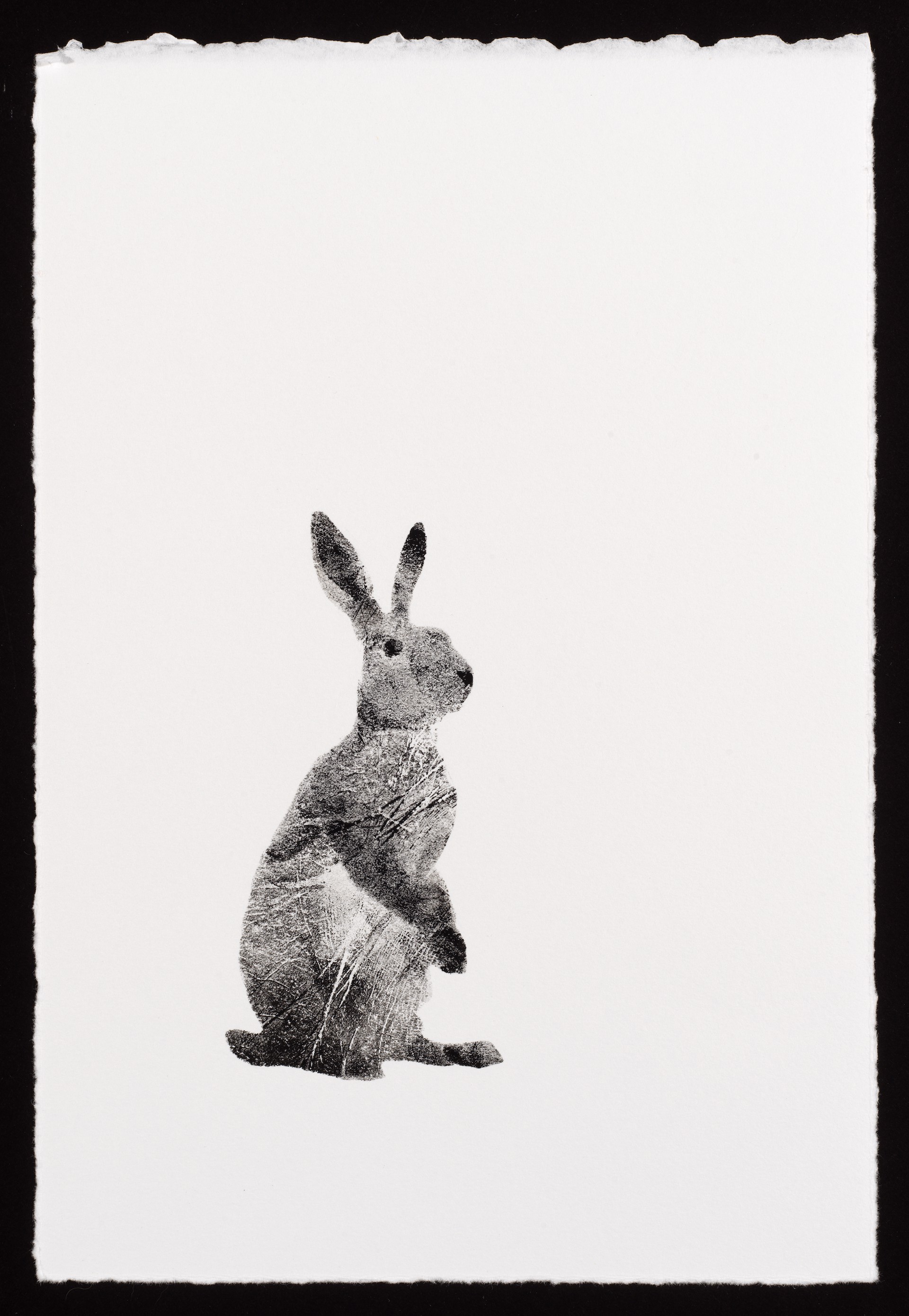 Standing Rabbit (5/10) by Susan Hall