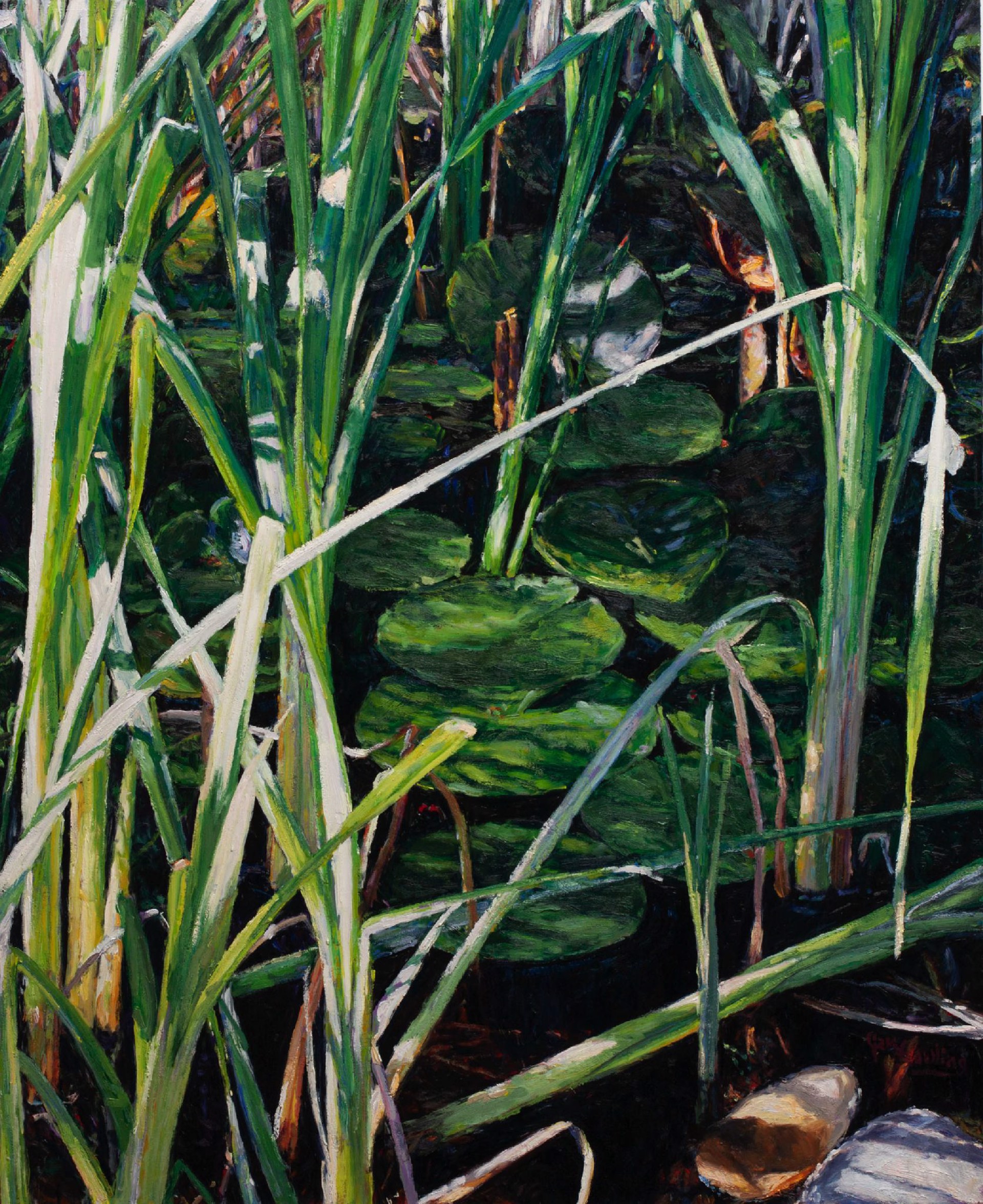Hiding Lily Pads by Gary Bowling