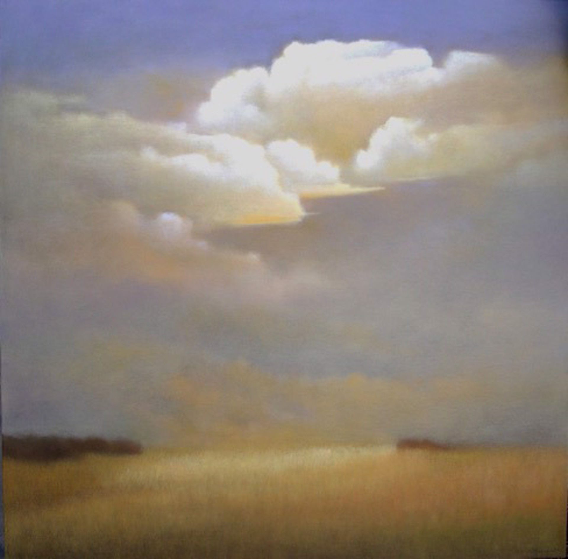 June Storm by Donna McGinnis