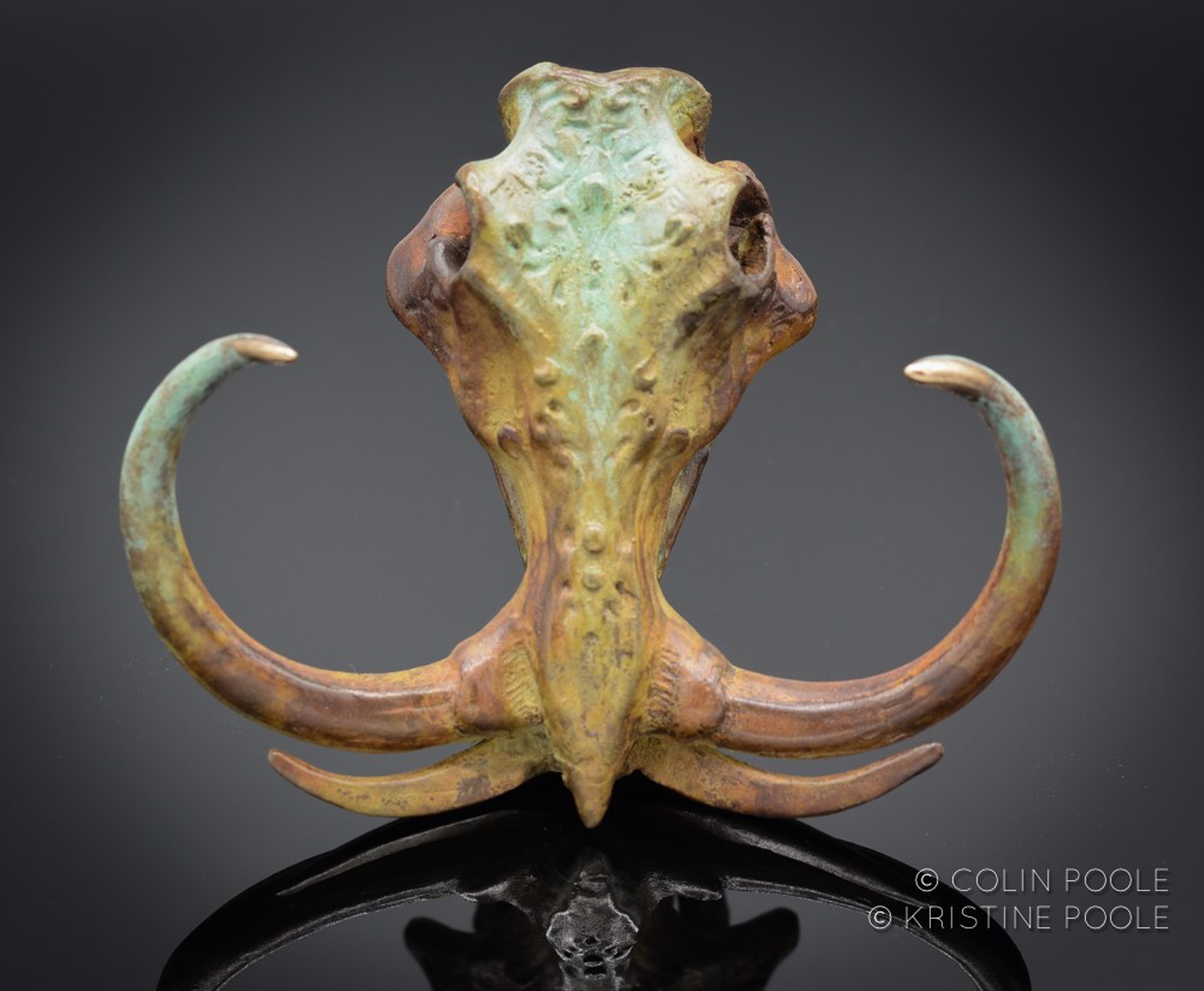 Grand Tusker  (Warthog)Talisman Skull 4 by Colin & Kristine Poole