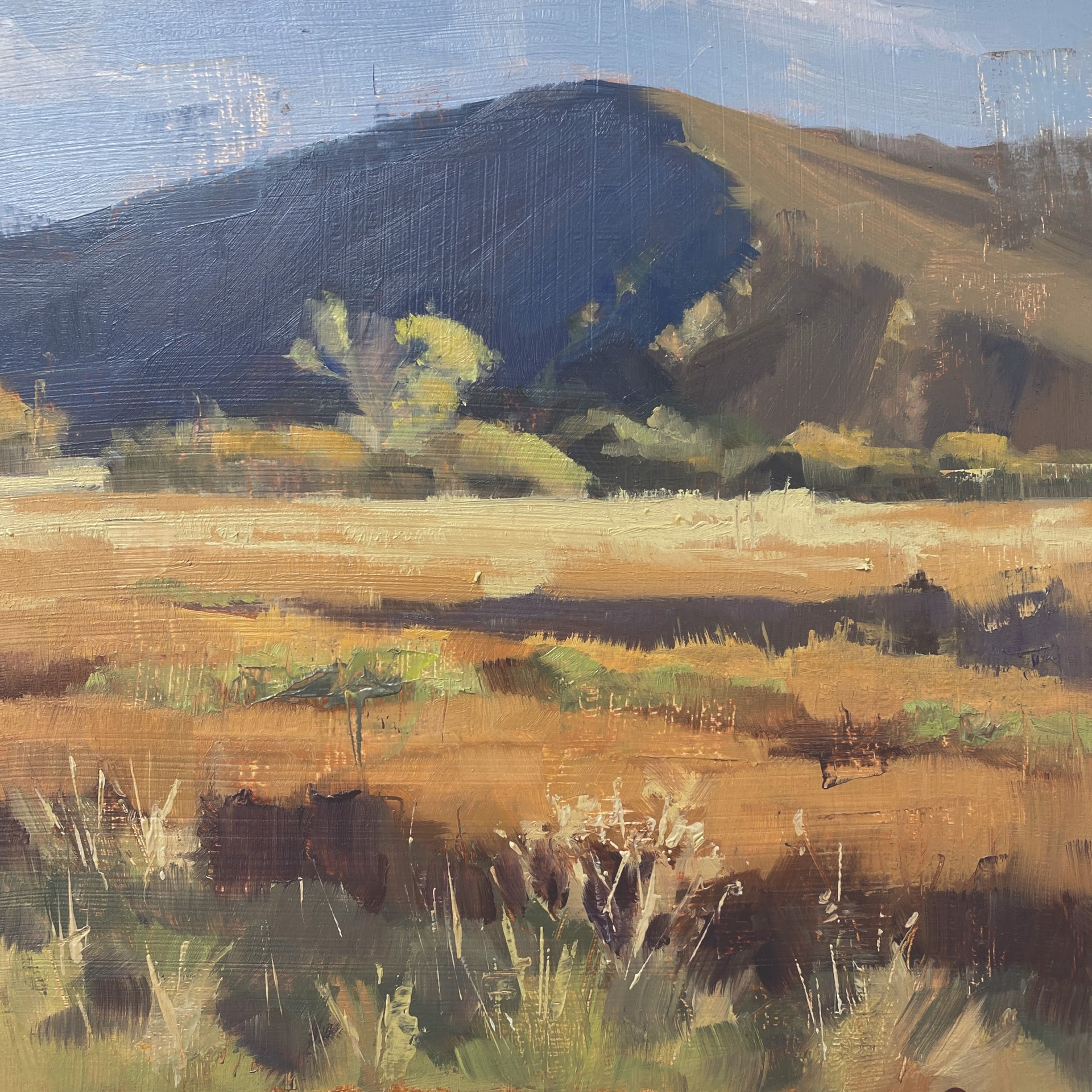 Fall Grass by Judd Mercer