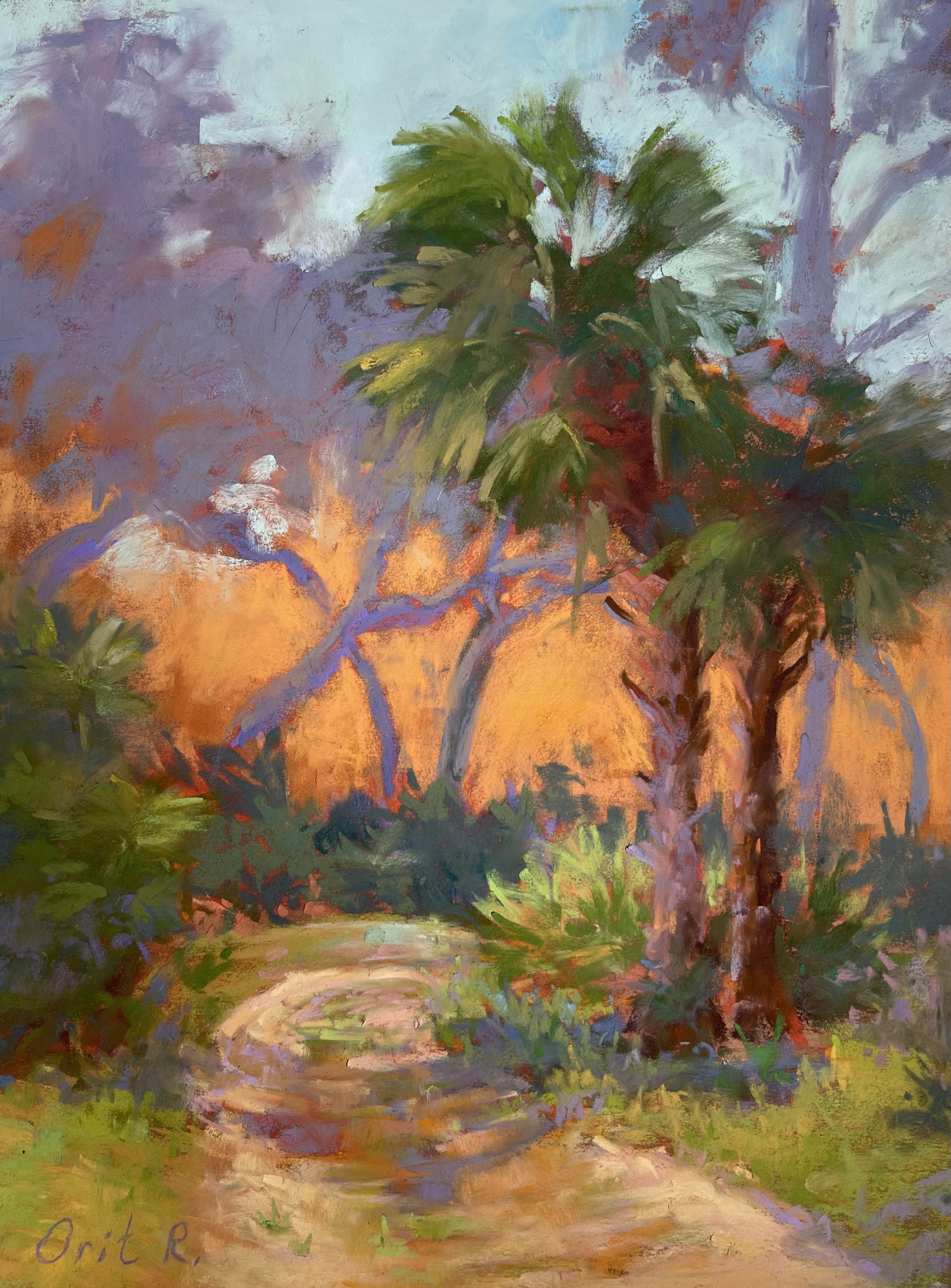 Shady Trail by Orit Reuben