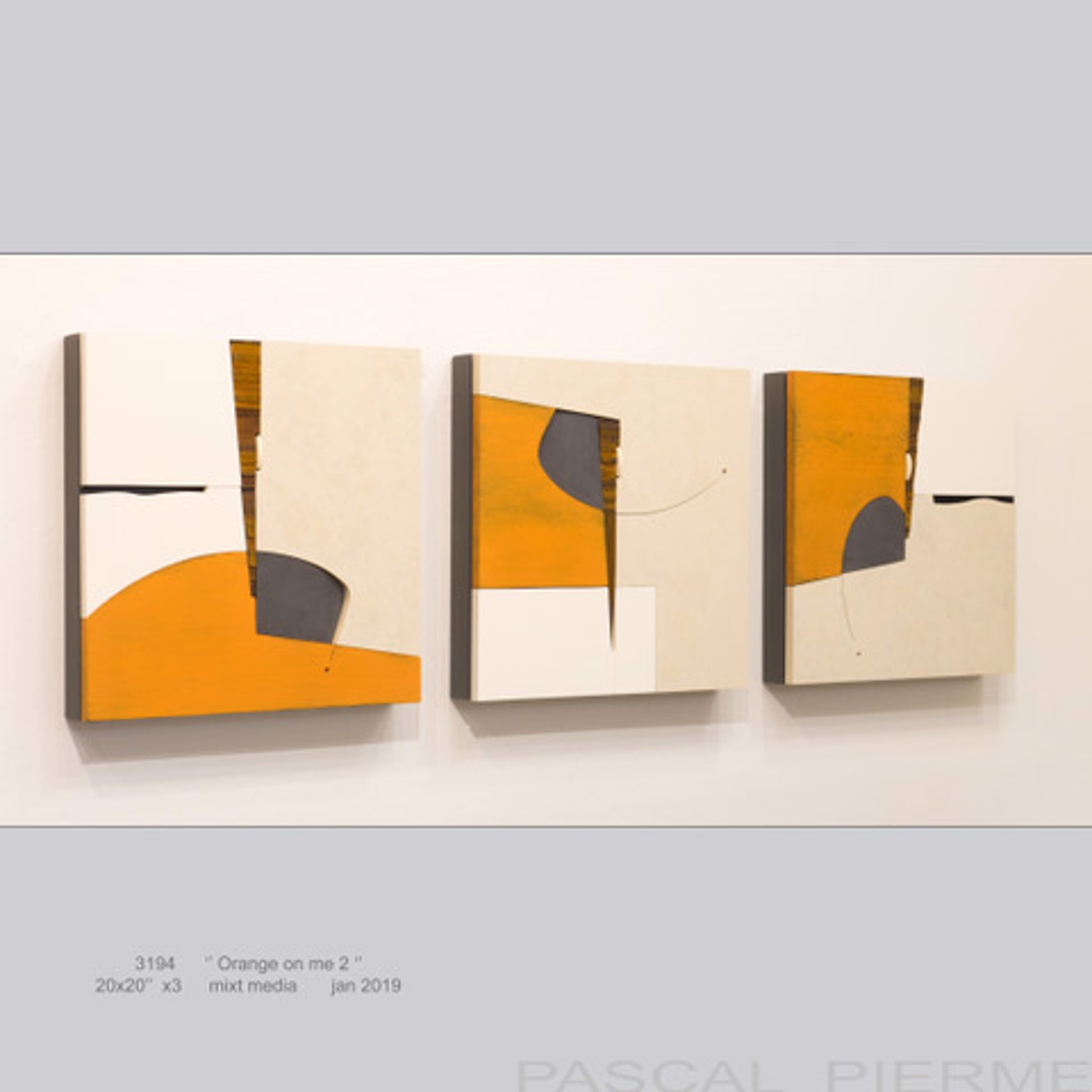 Orange On Me 2 by Pascal Piermé