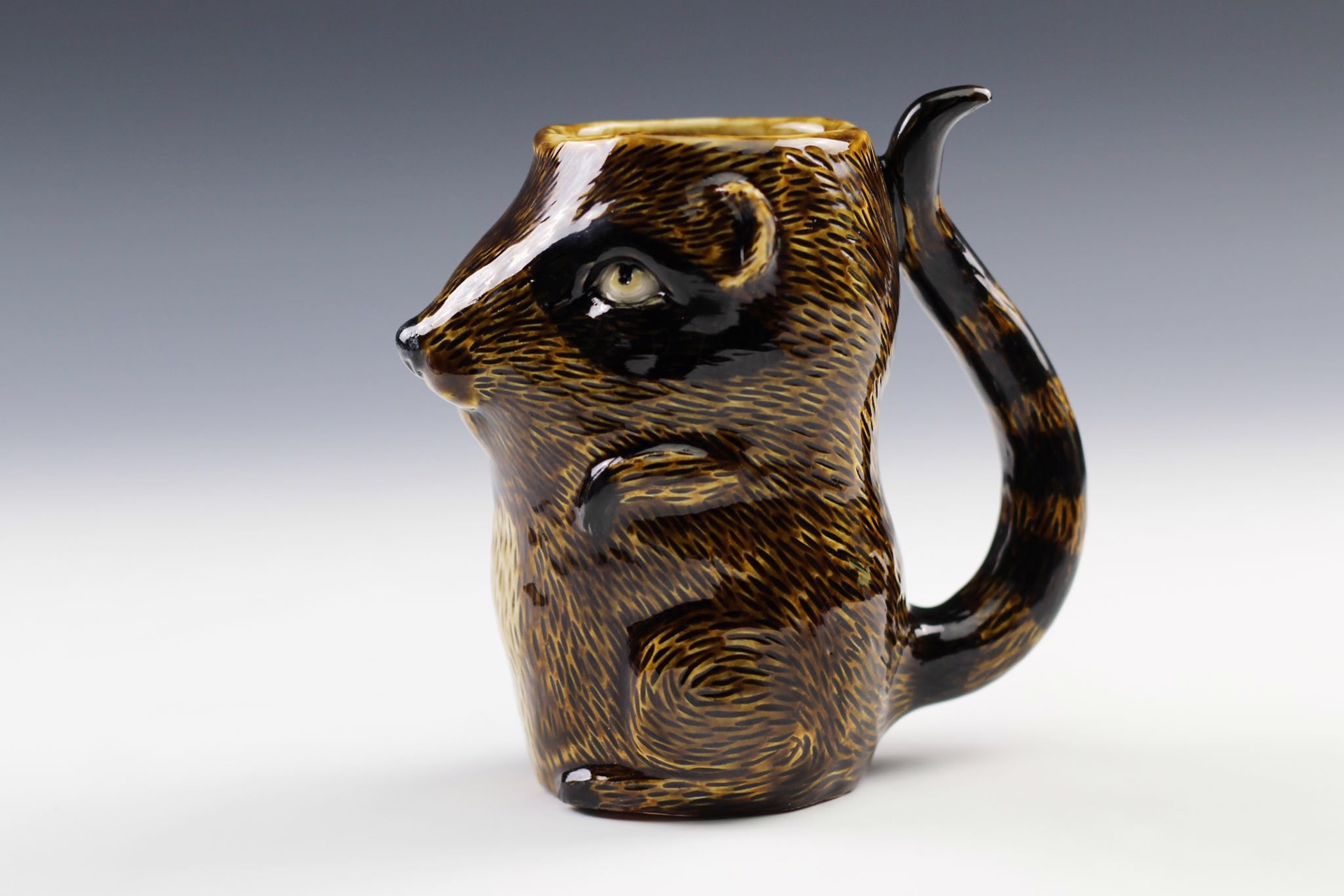 Raccoon Mug by Debbie Kupinsky