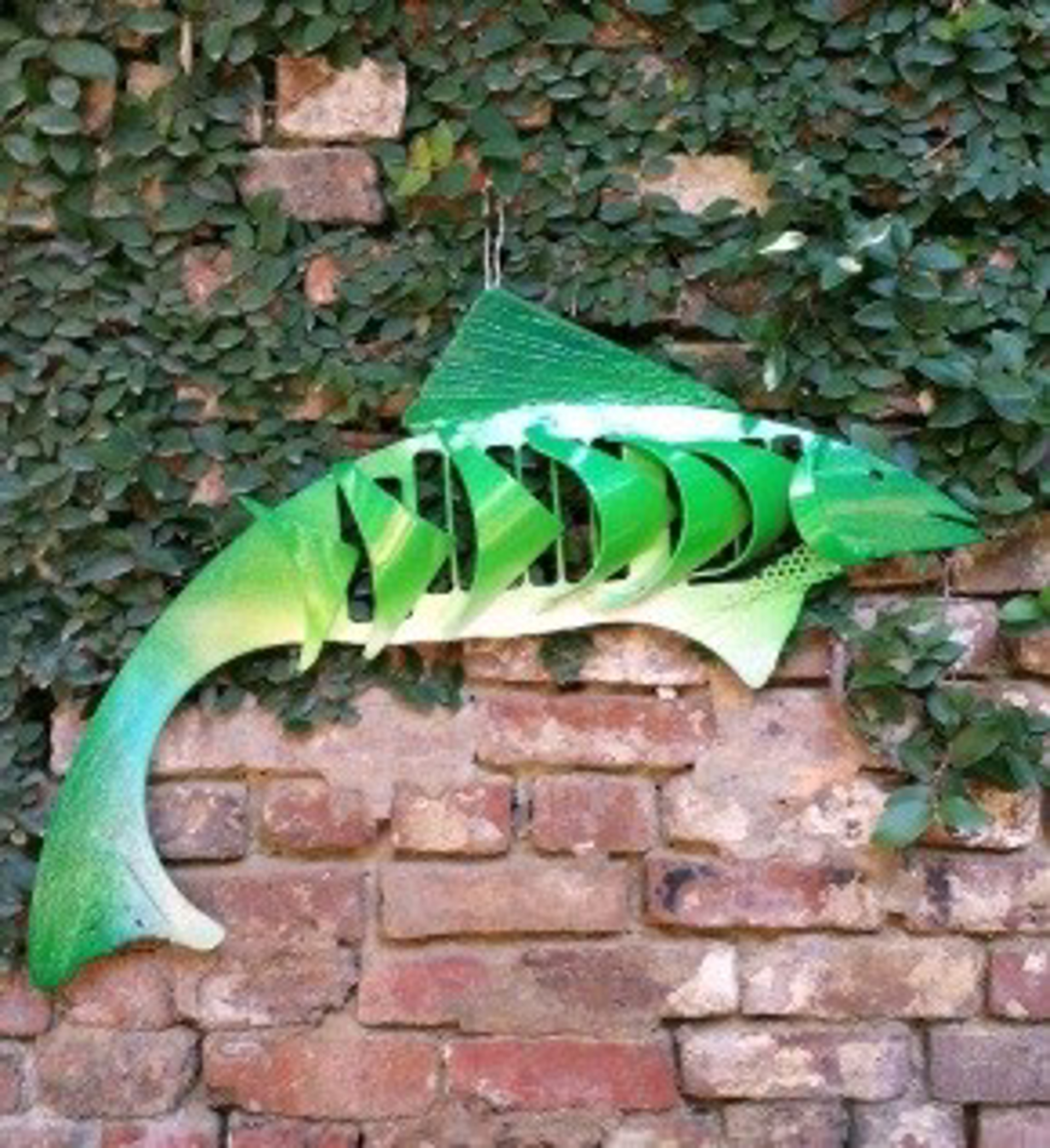 Green Fish by Stephen Kishel