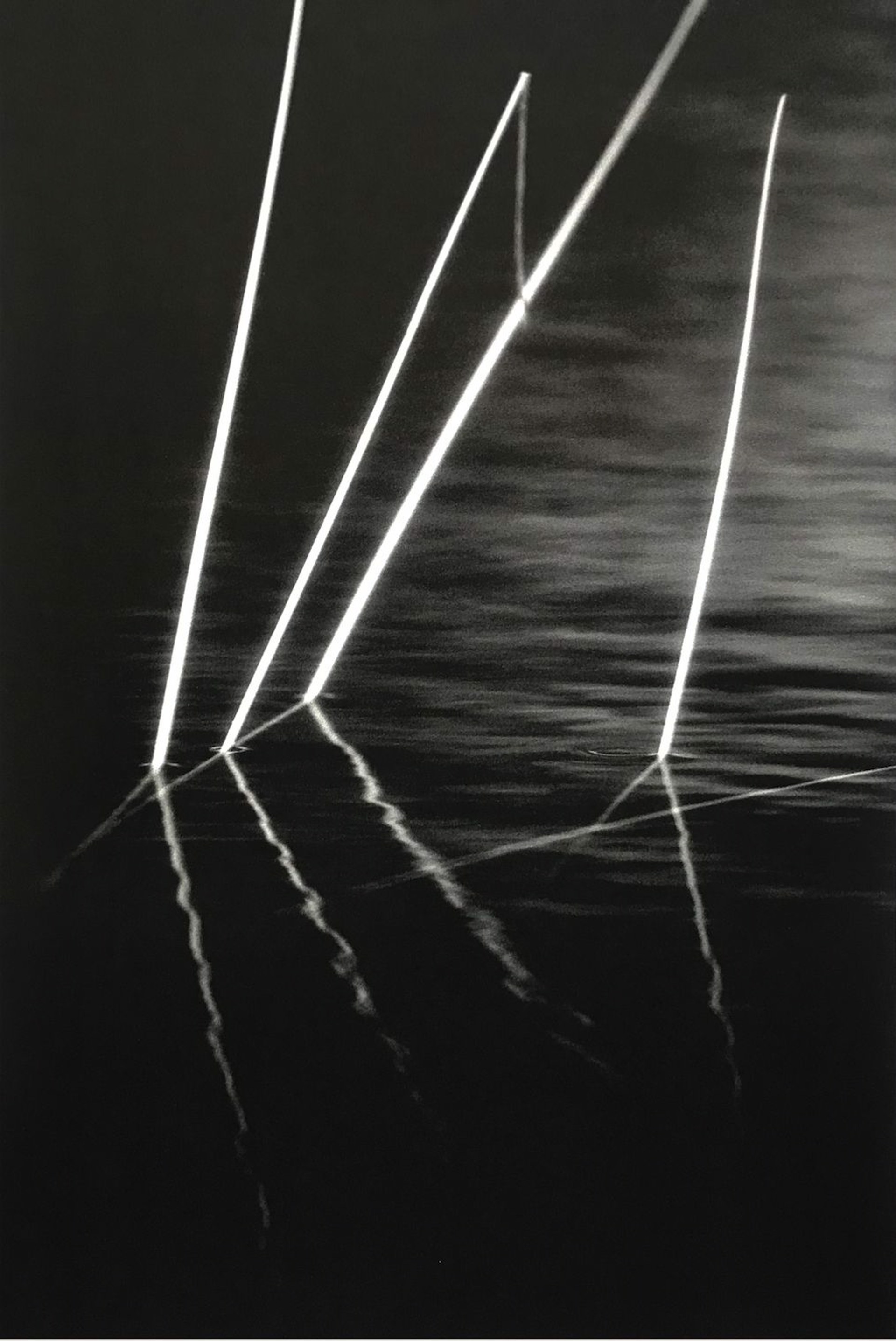 Laughing Reeds 6, 1/15 by Ken Smith