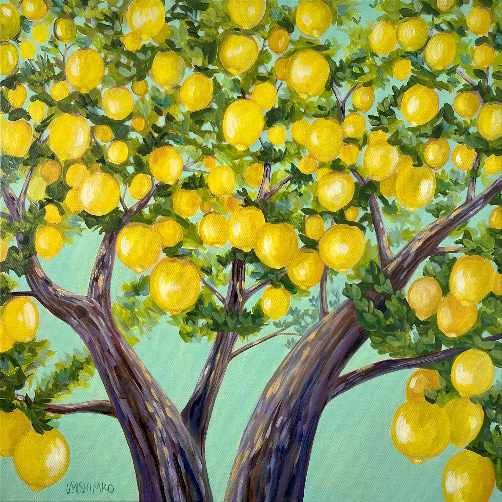 Lemon Canopy by Lisa Shimko