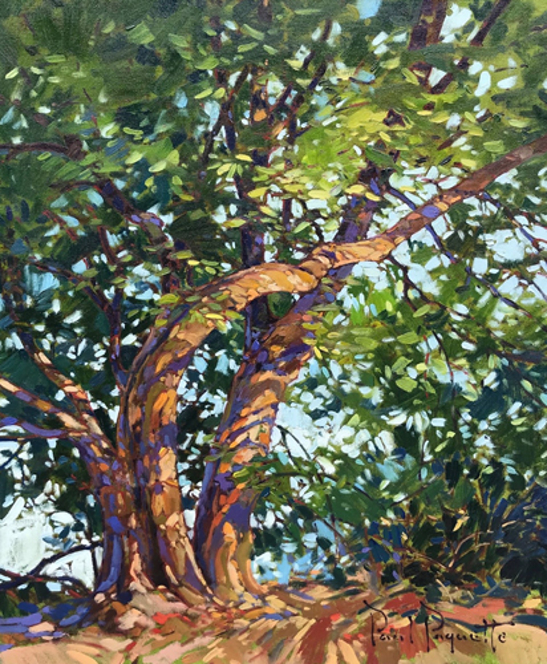 The Dancing Branches (Slim Canvas) by Paul Paquette