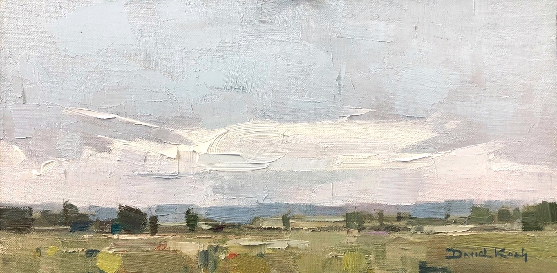 Wyoming Skies by David Koch