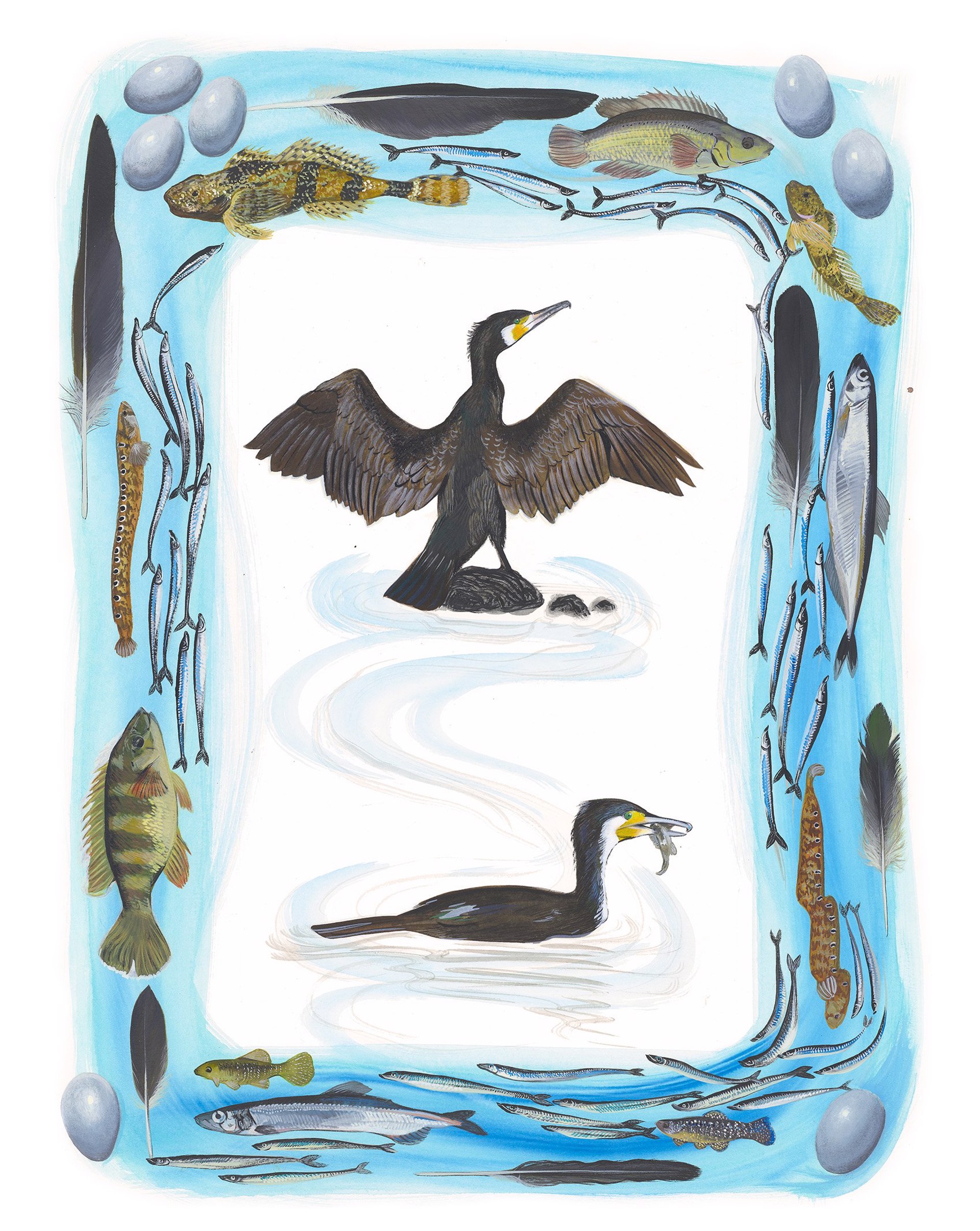 Birds of Shakespeare: Great Cormorant (Phalacrocorax carbo) by Missy Dunaway