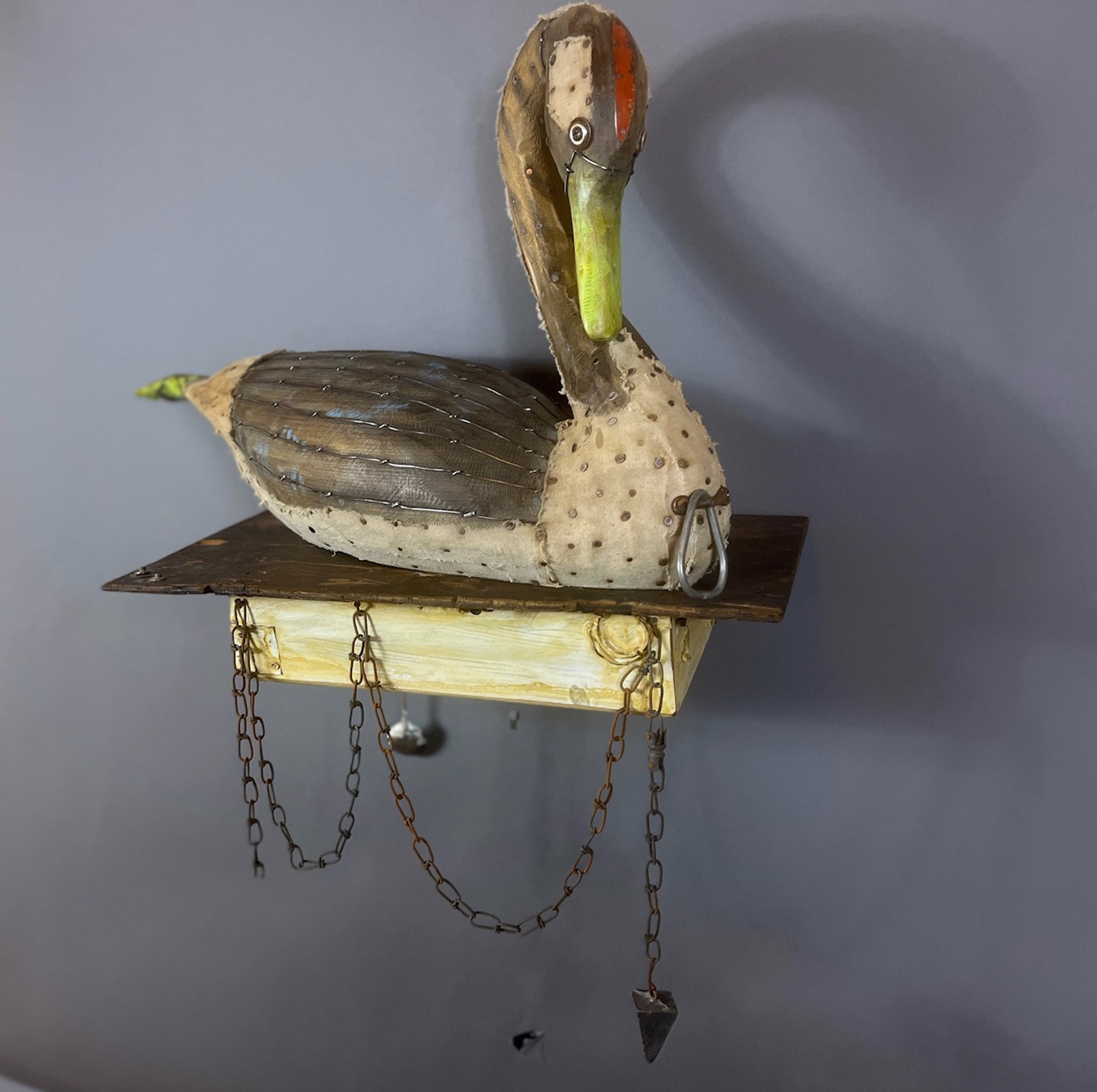 The Shy Swan by Geoffrey Gorman