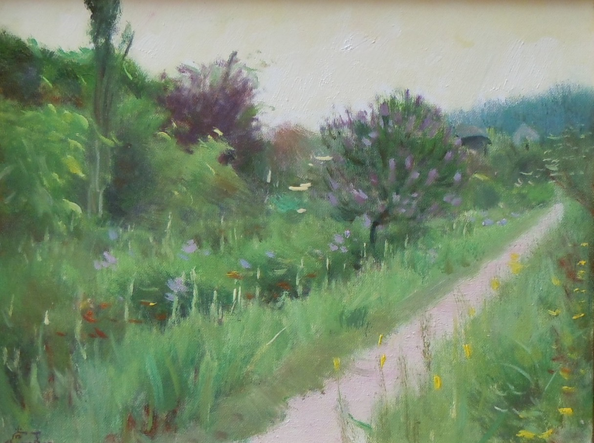Monet's Garden 4 by Shang Ding