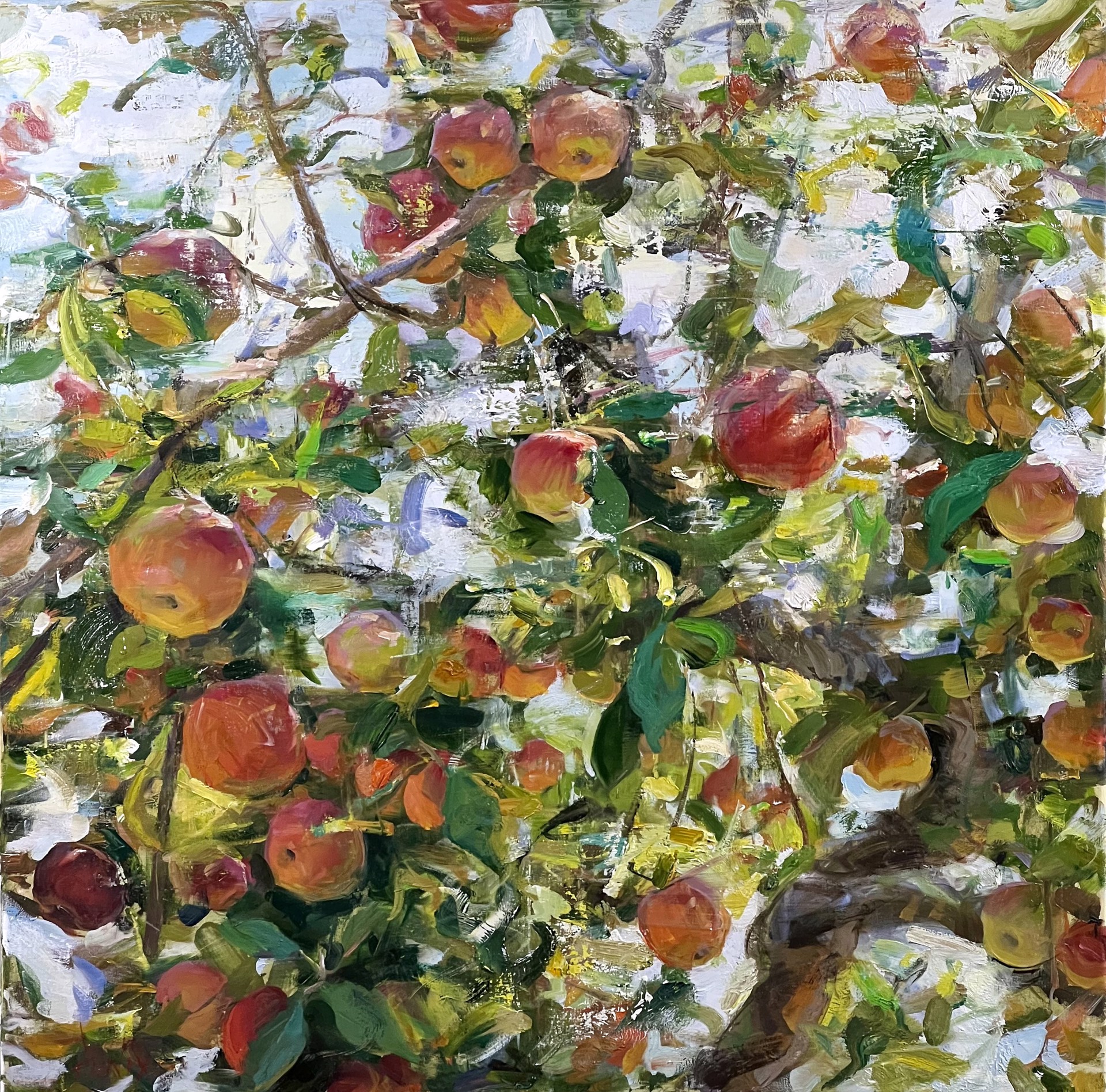 Apples by Derek Penix
