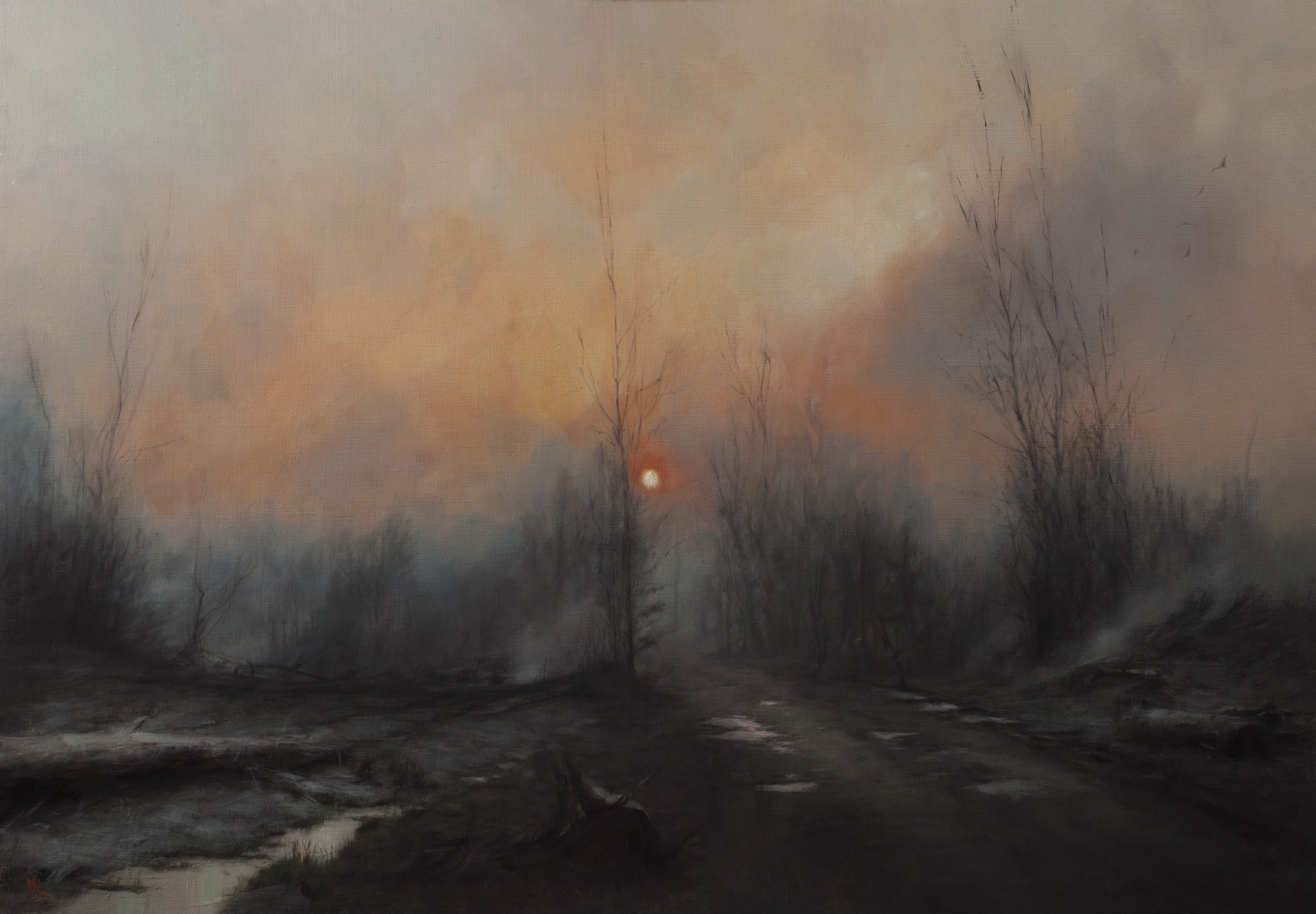 Winter on Fire by David Gluck