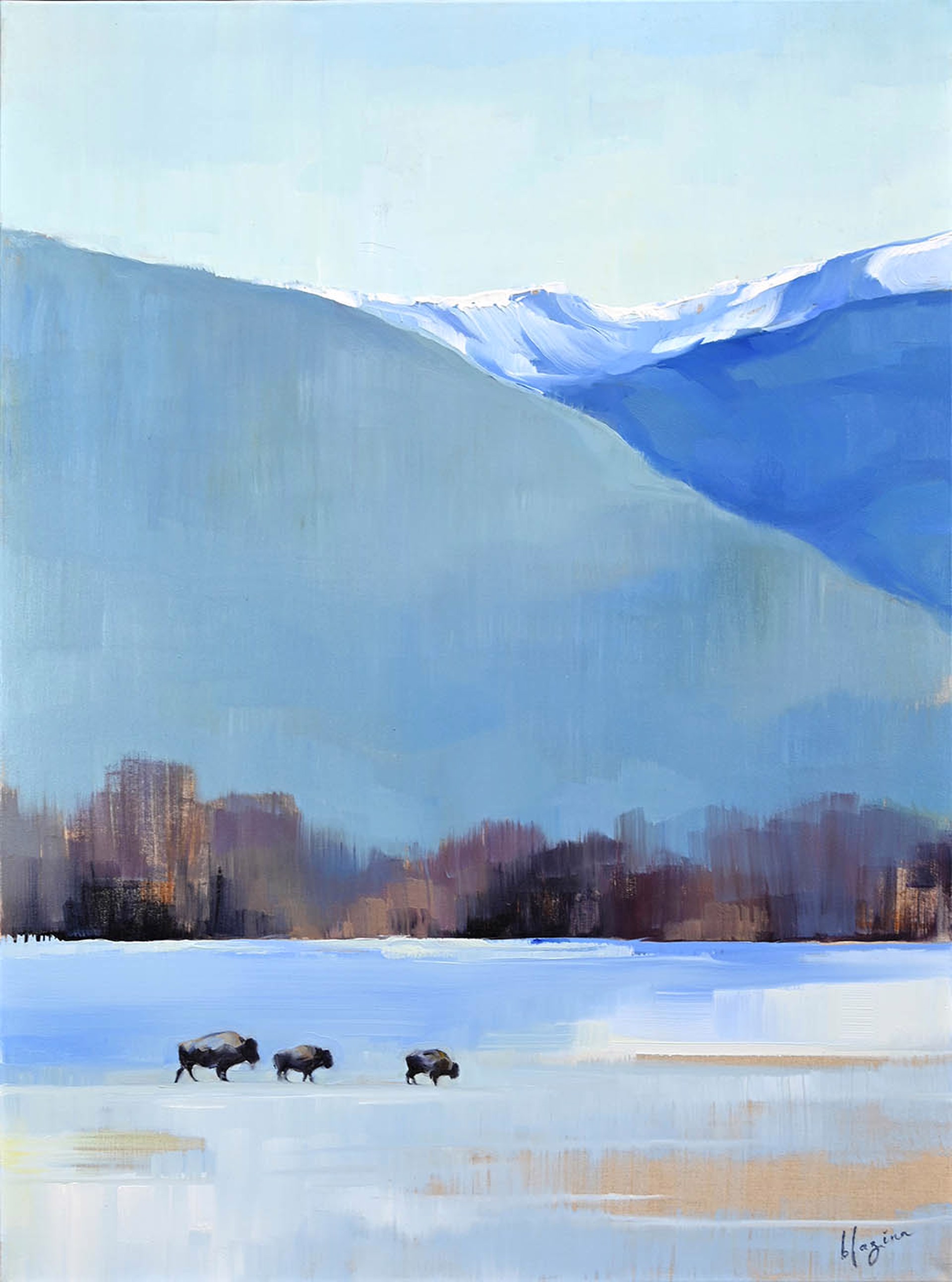 Bison Standing In A Field With Blue Mountainous Background