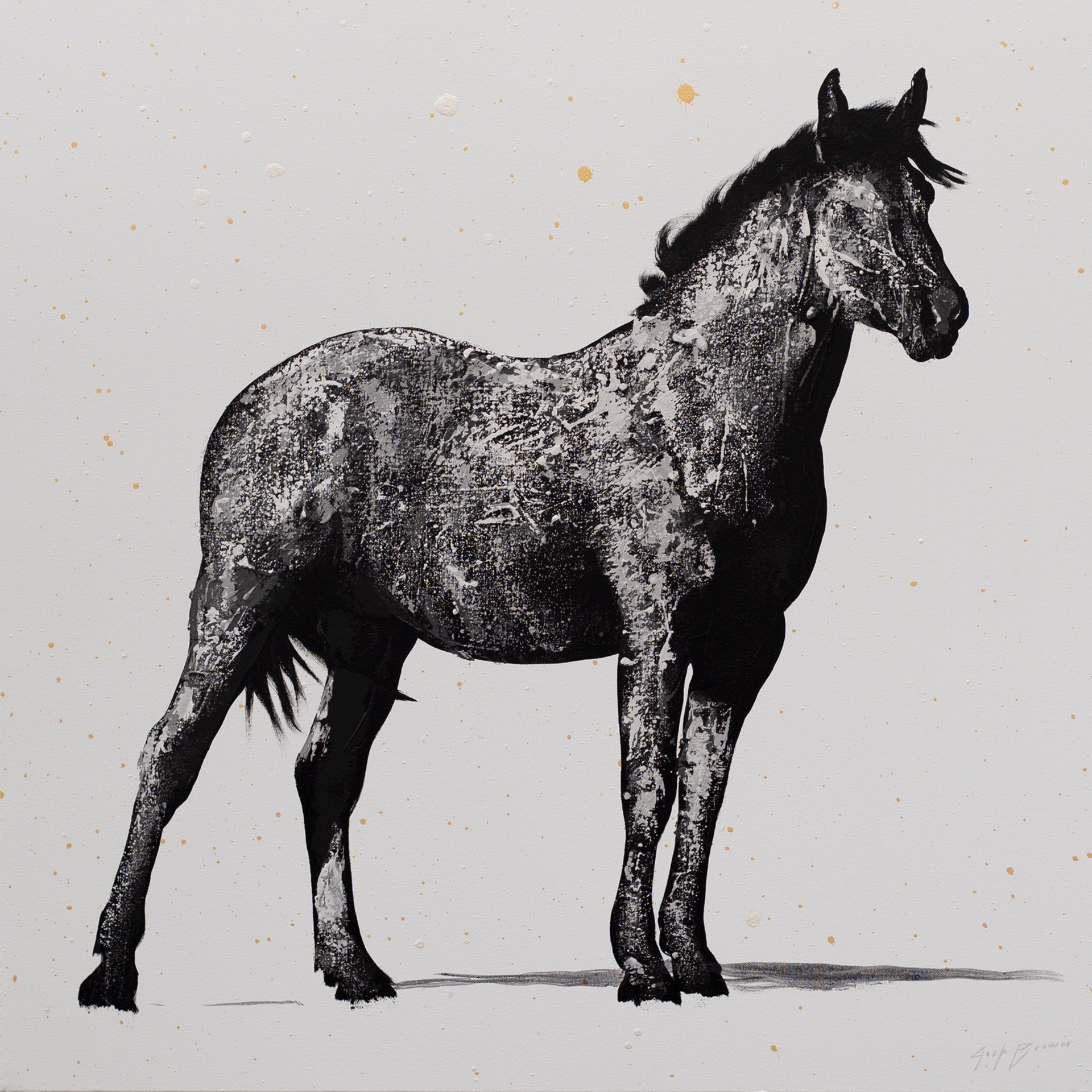 Black Roan Horse on Light Blue by Josh Brown