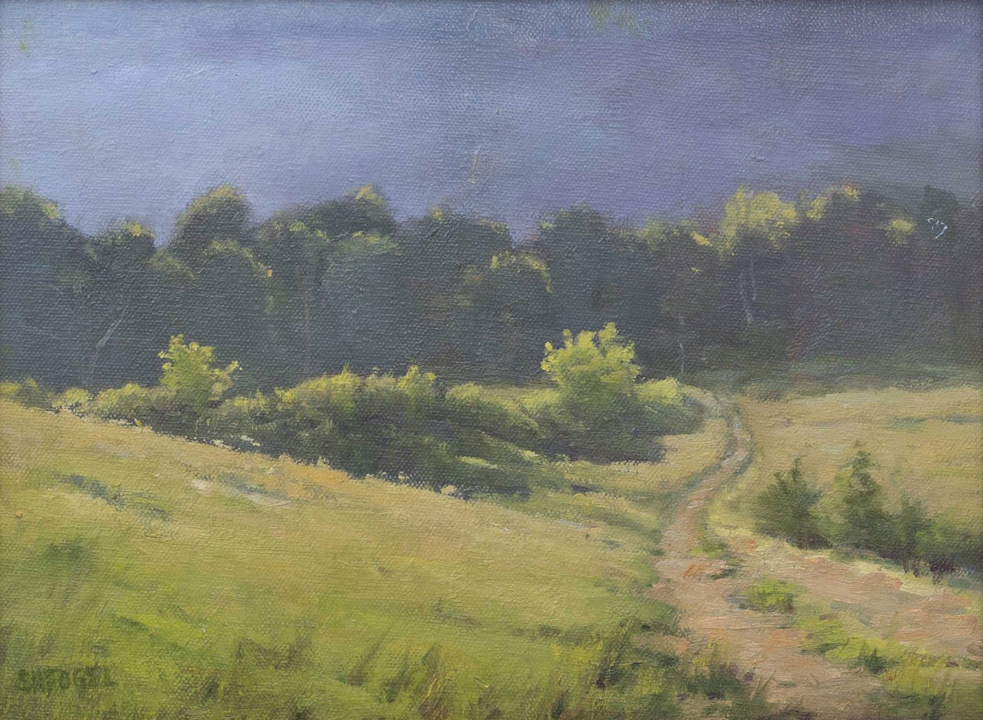 Lower Road at the Old Rickey Farm by Susan Hope Fogel