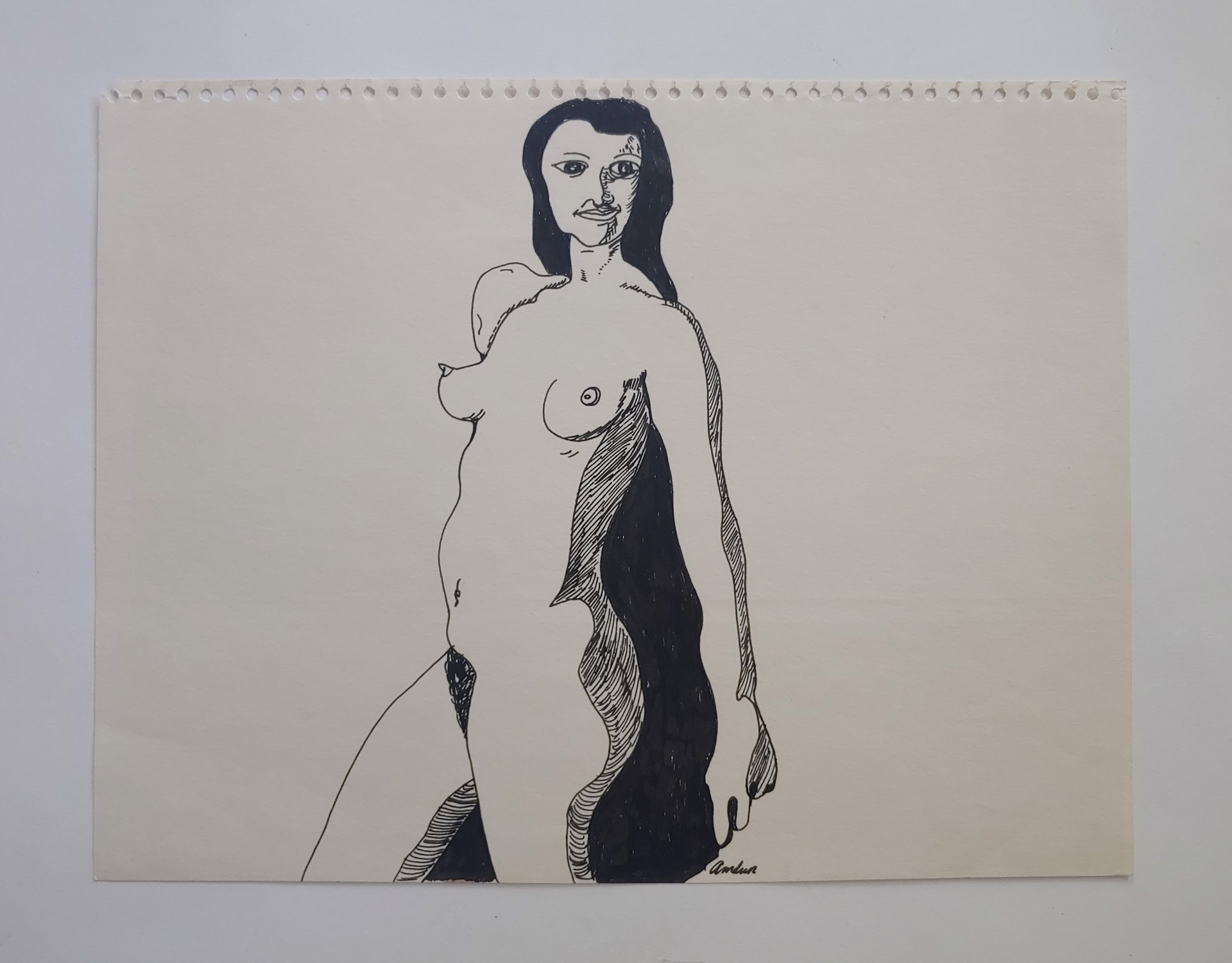 Nude with Shadow - Drawing by David Amdur