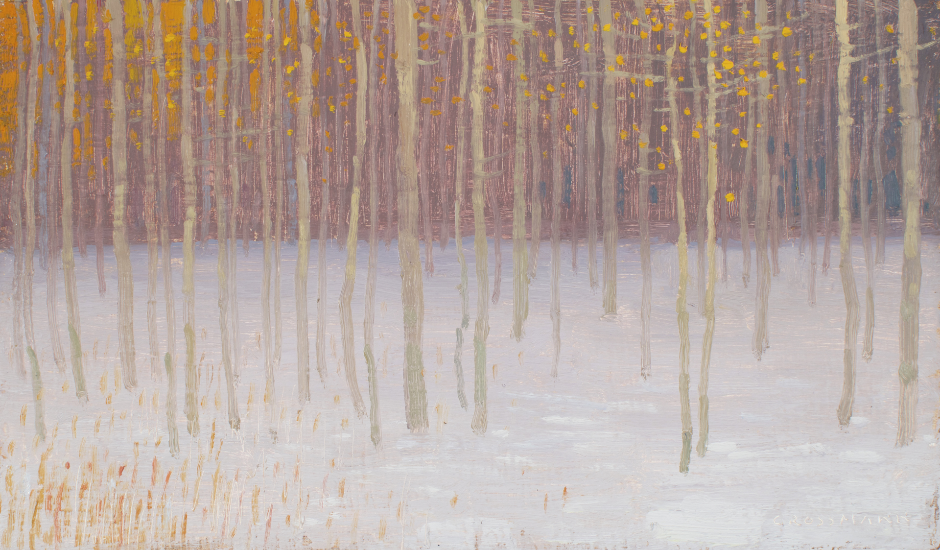 Snow and Remants of Autumn Colors by David Grossmann