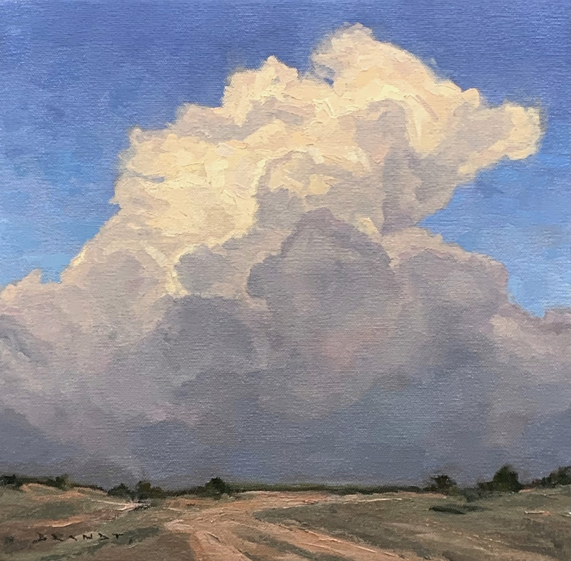 Whip Cream Clouds by Brandt Berntson