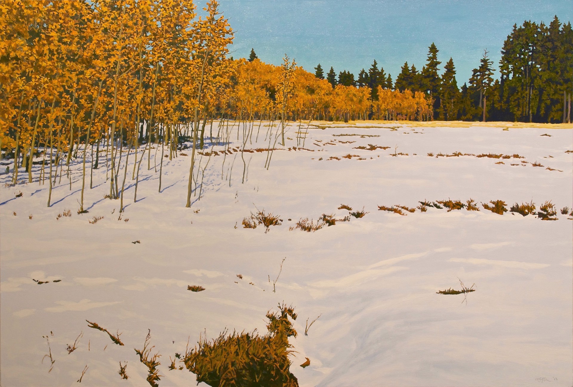 Snowy Field with Aspens by Peter Loftus