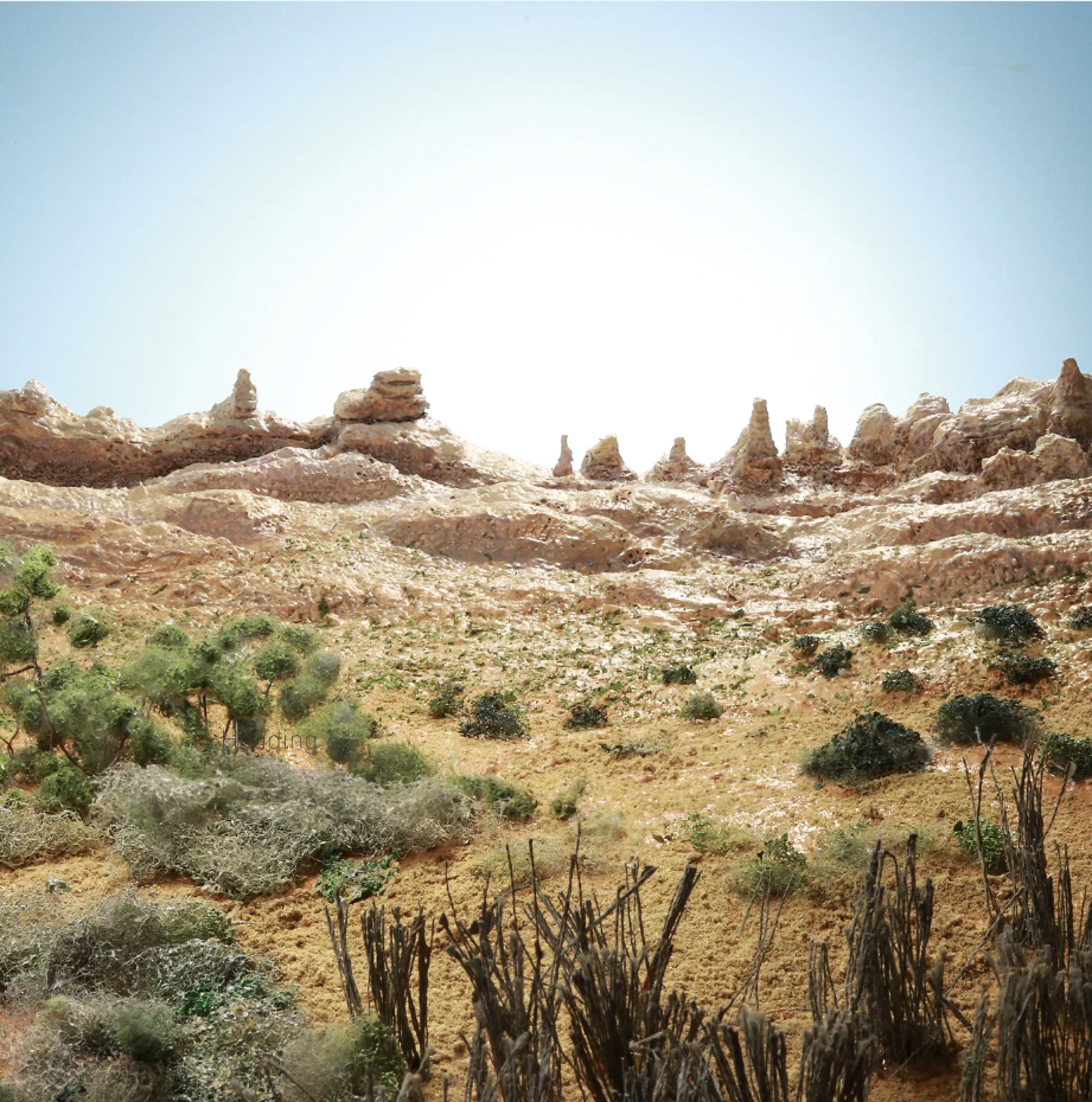 Desert by Stephen Dorsett