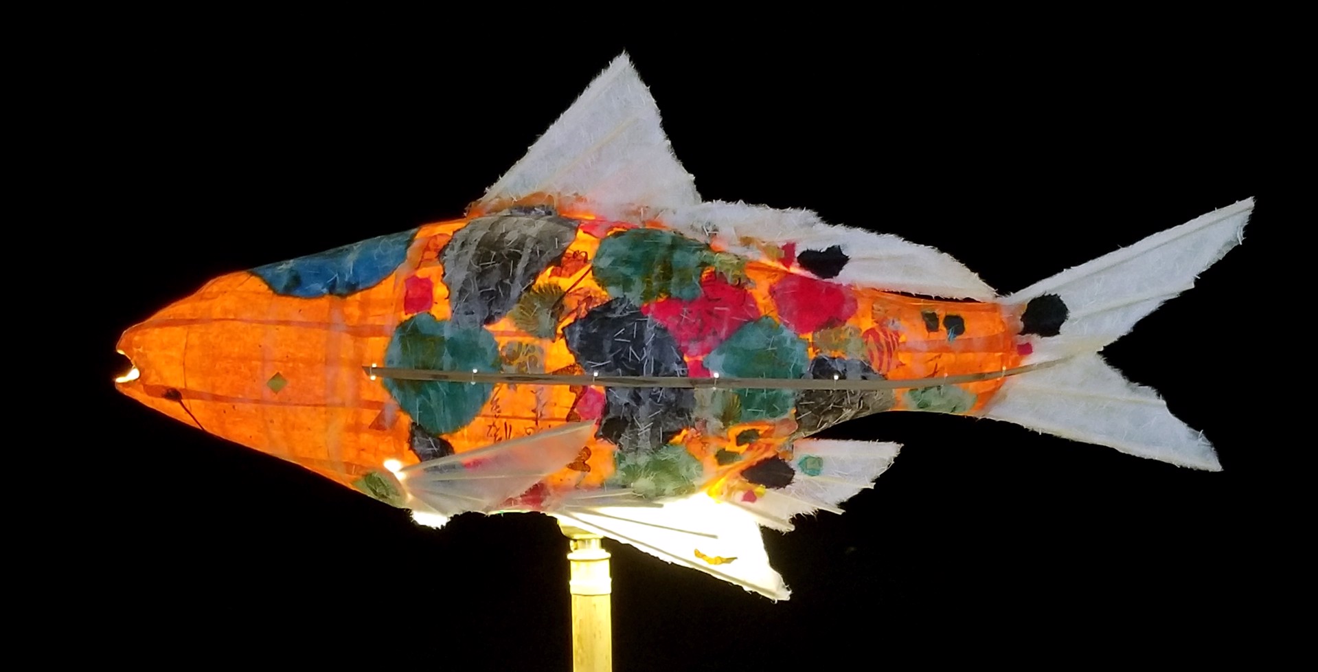 Saffron Passion Koi by Elaine Hanowell