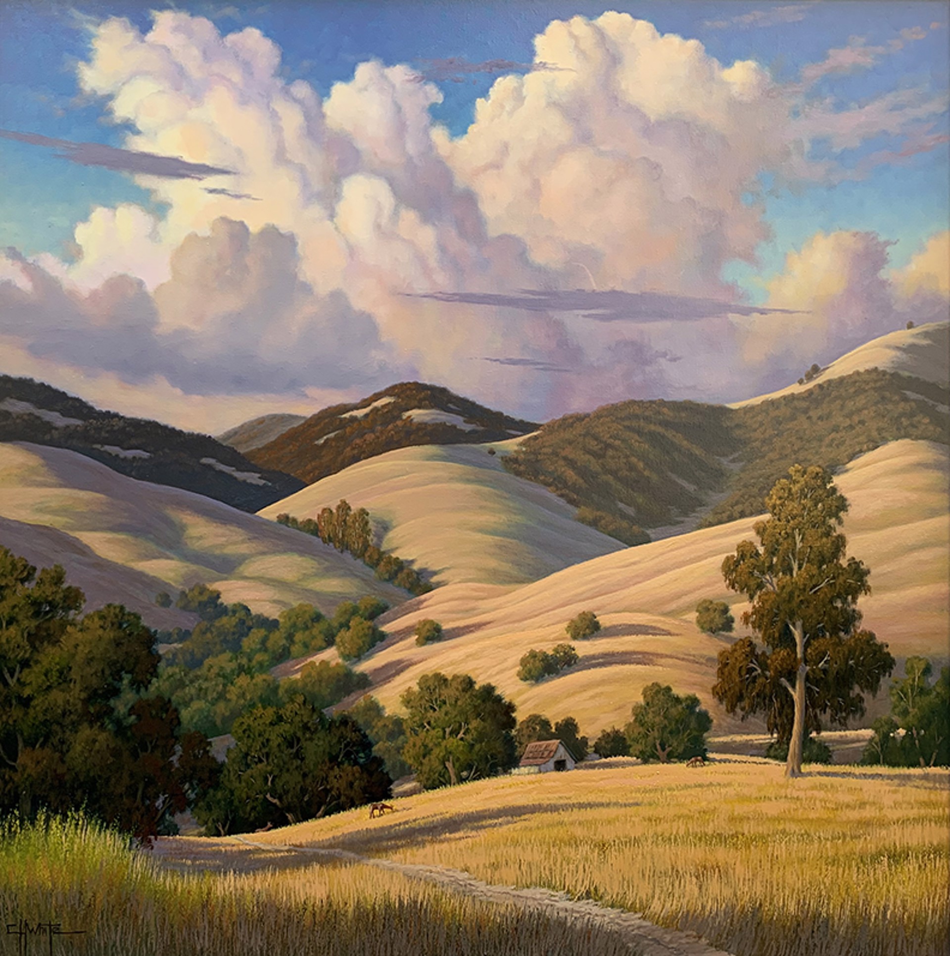 California Foothills by Charles White