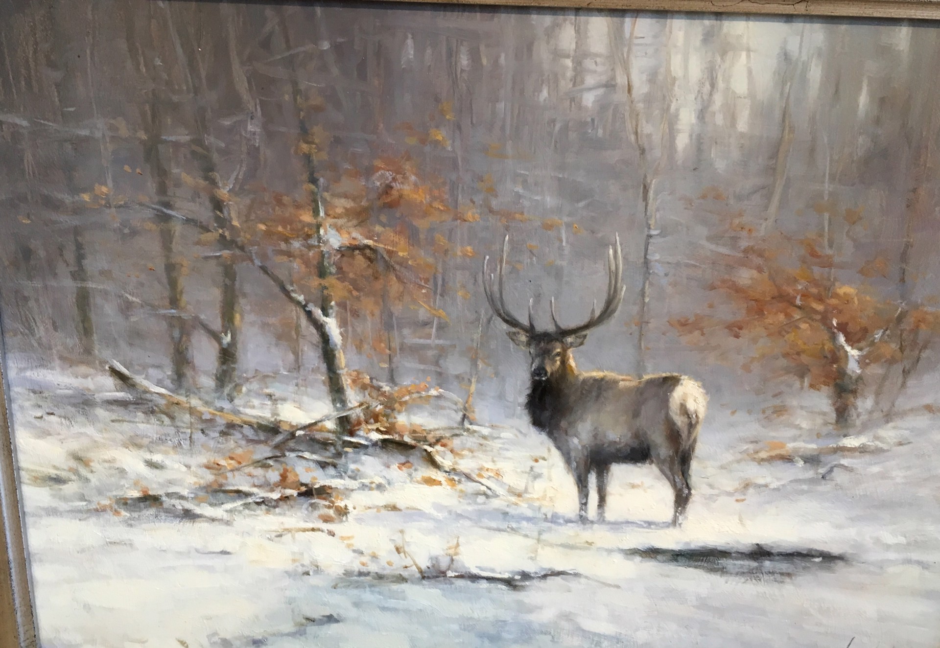 Early Winter in the Forest by Andre Balyon