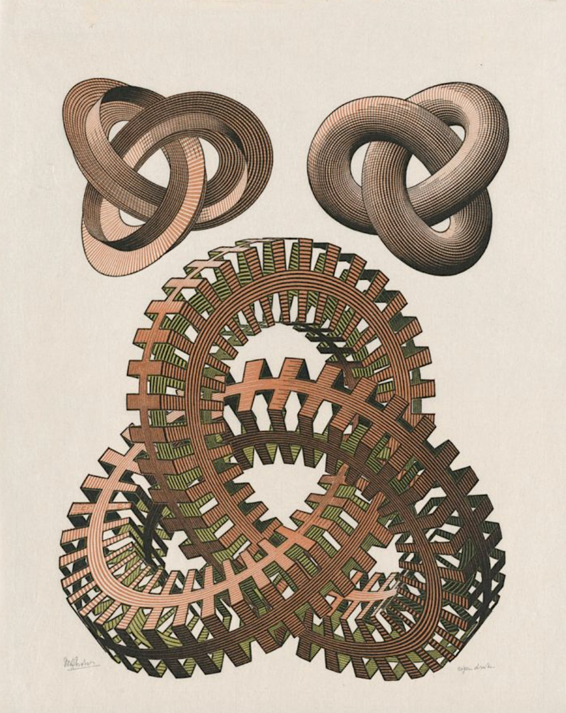 Knots by M.C. Escher
