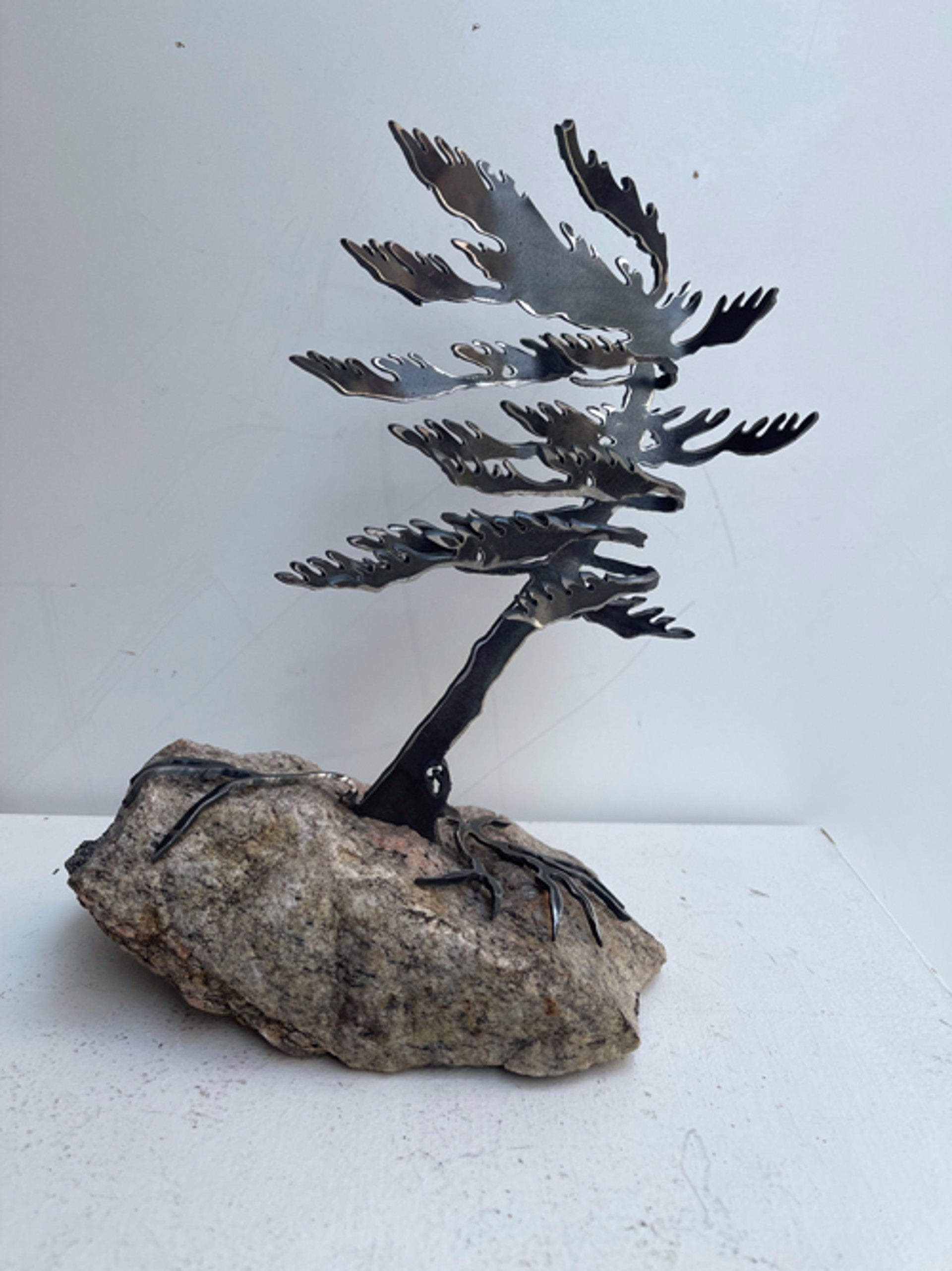 One Tree Rock by Cathy Mark