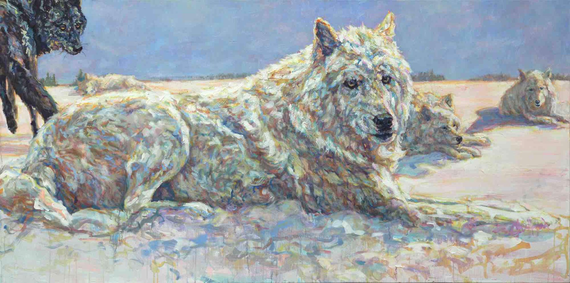 Pack Of Wolves Waking Up To Pink Sunrise Horizontal Painting By Patricia Griffin At Gallery Wild.