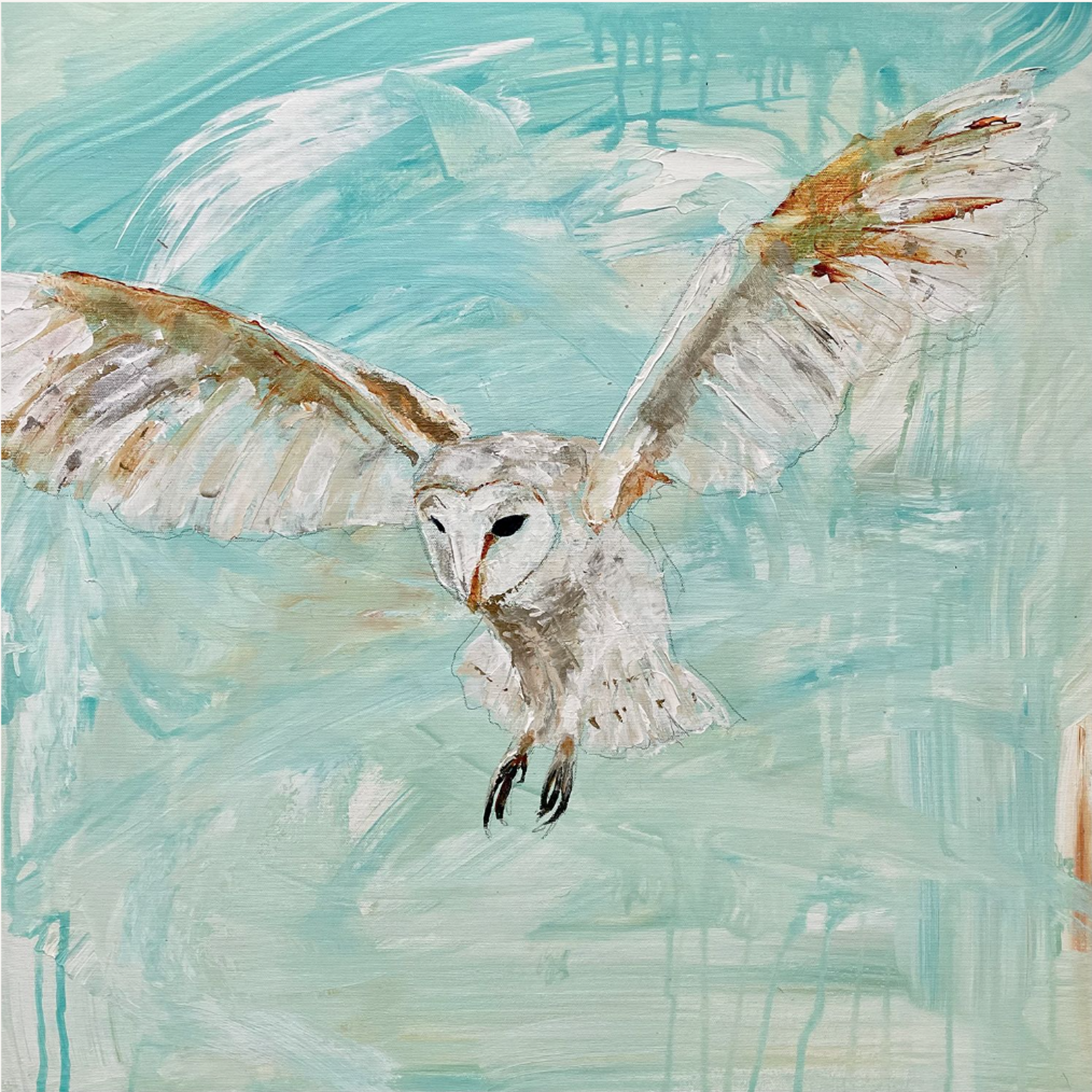 Barn Owl No. 1 by John Baran