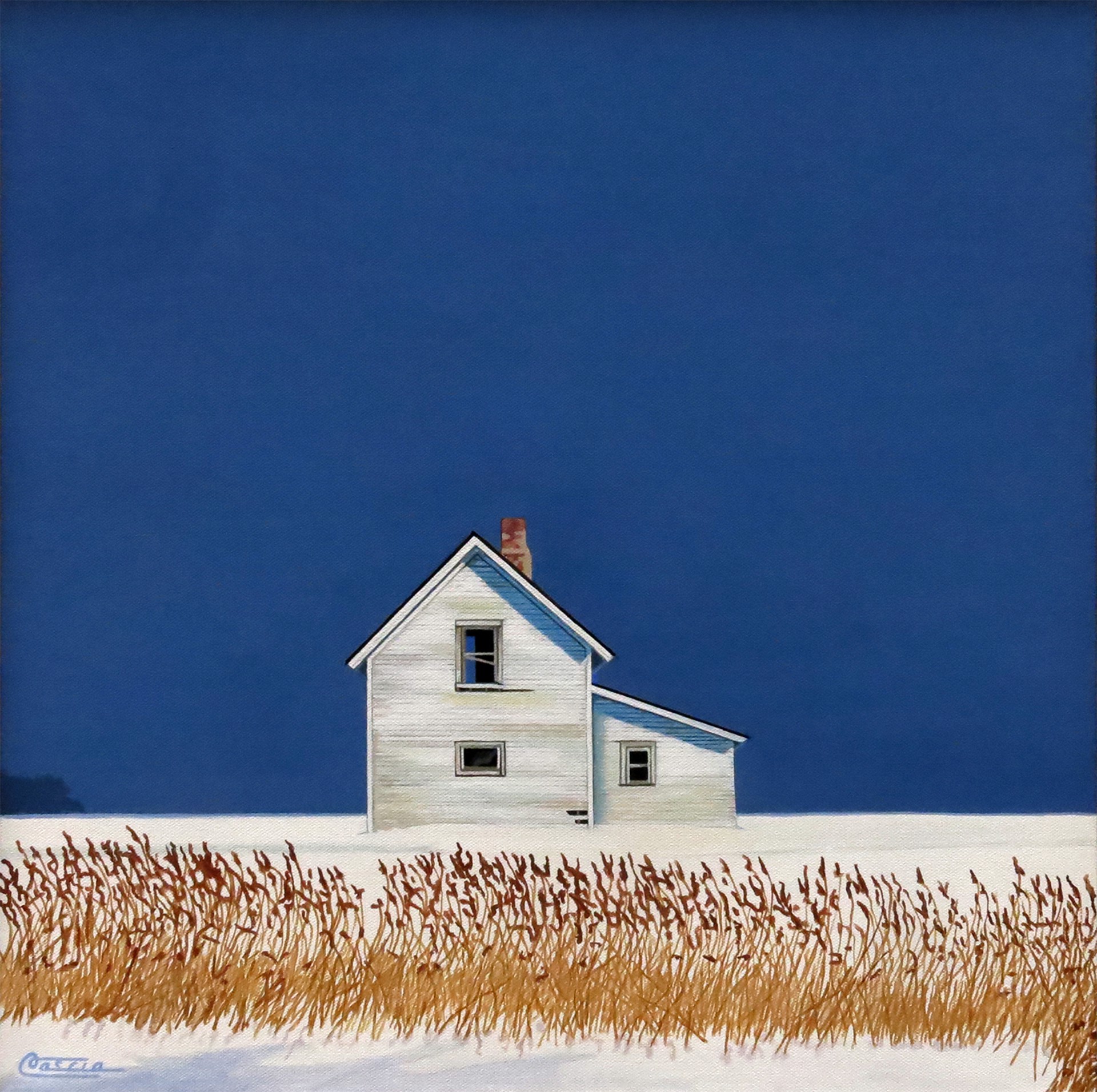 Winter Fields, Overcast by Bruce Cascia