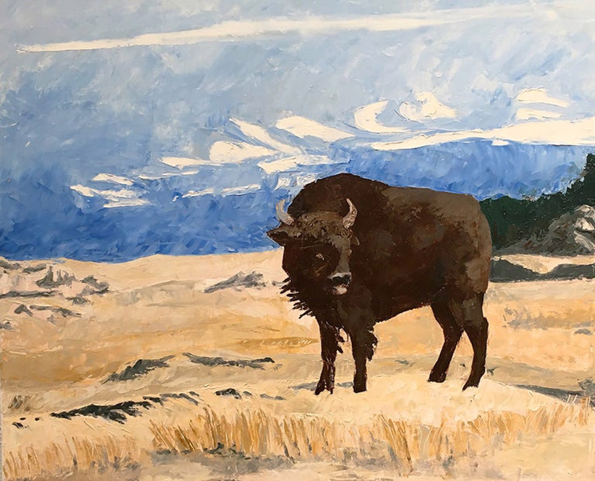 Buffalo Gal by Anastasia Smith