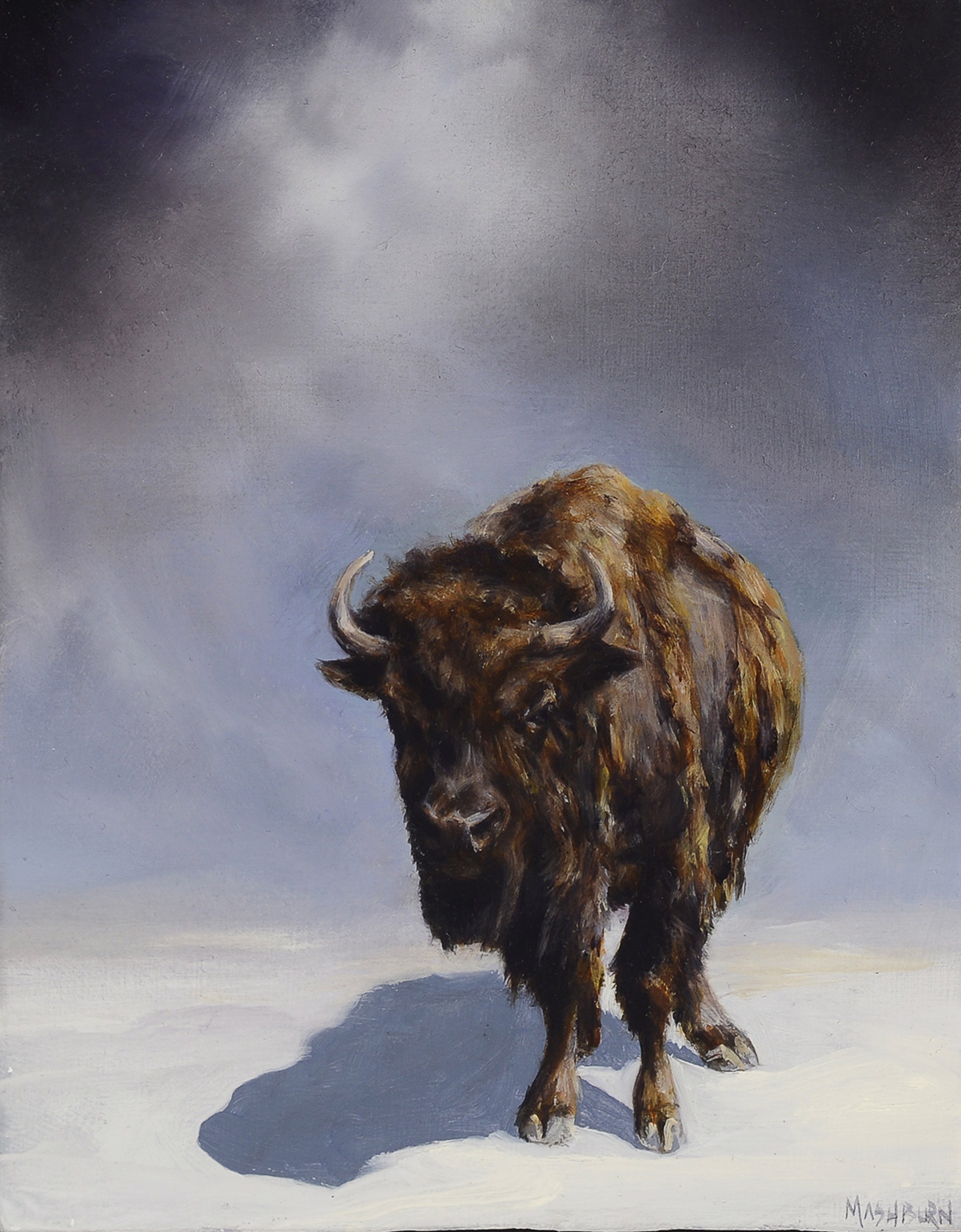 Buffalo by Brian Mashburn