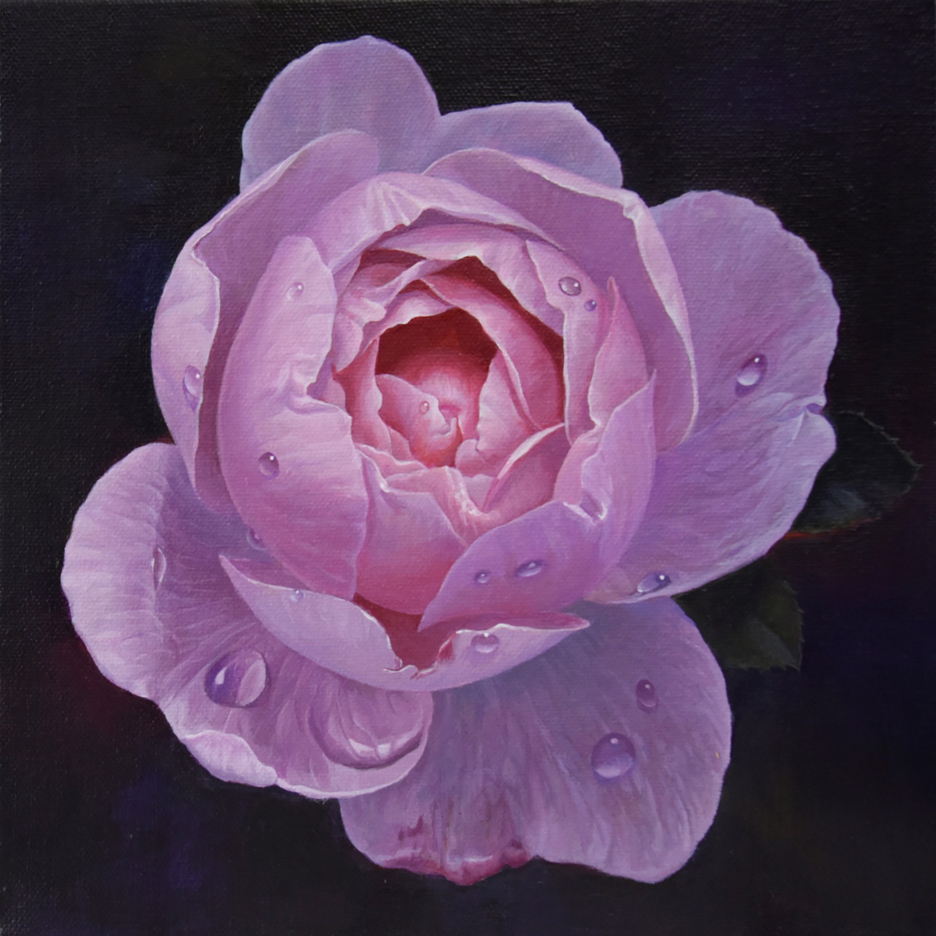 Rose by Paul Art Lee