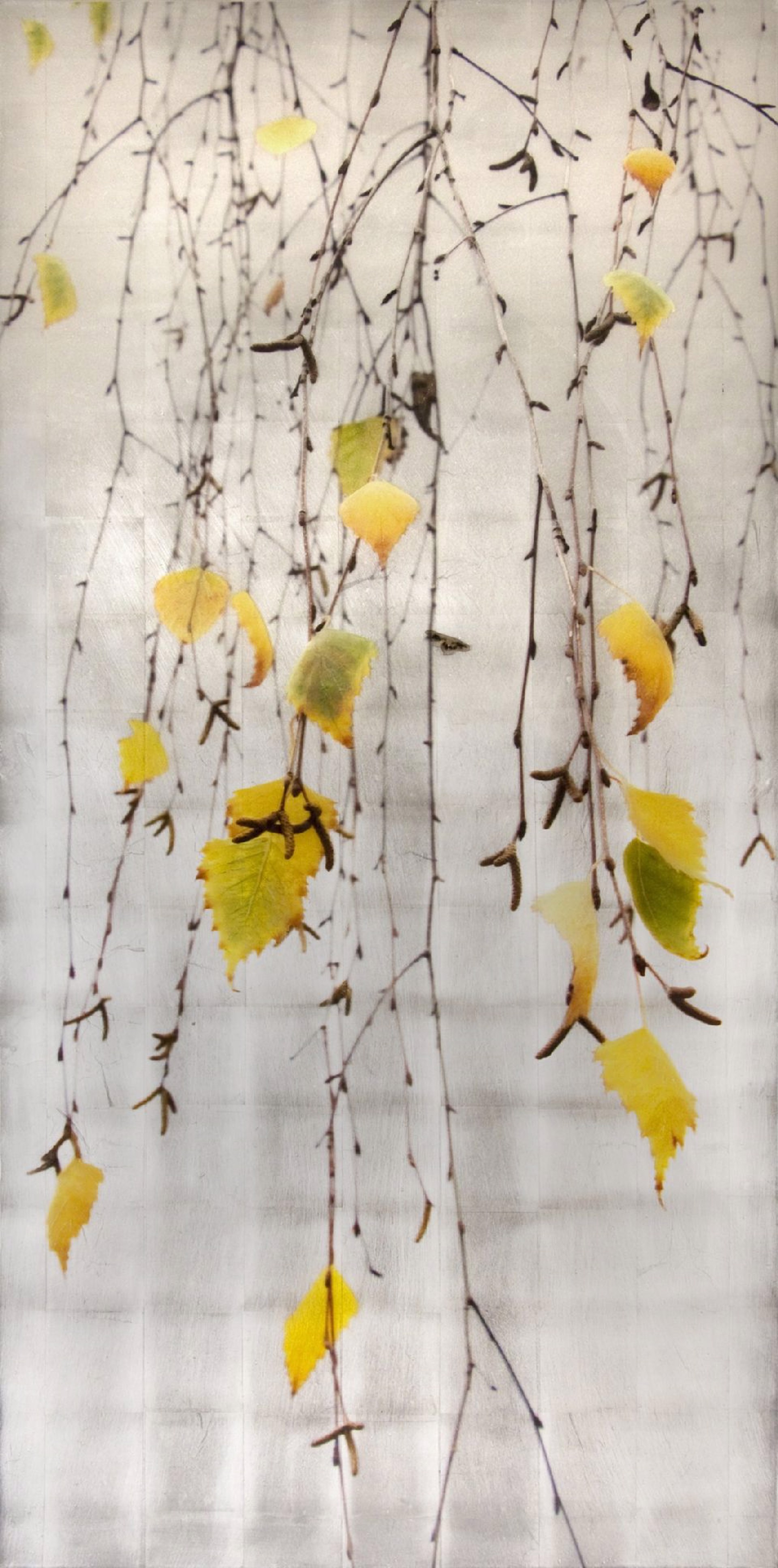 Autumn Echo by Susan Goldsmith