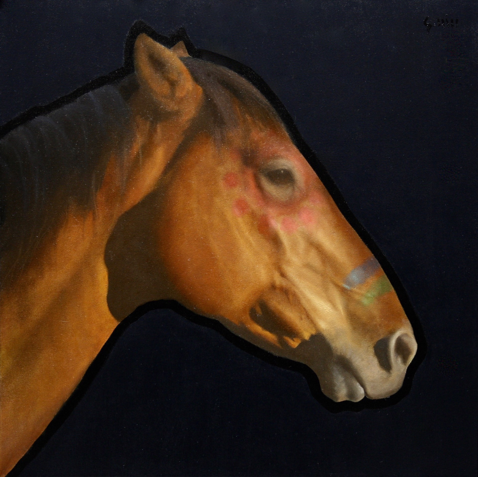 Original Oil Painting Featuring A Horse Bust With Tribal Face Painting And Contemporary Black Background